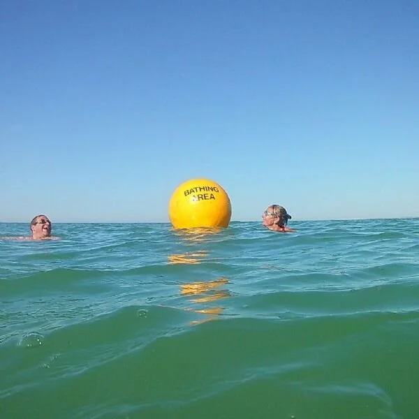 Seabirds Ltd. Brighton