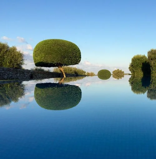 morning+pool+view+copy.jpg