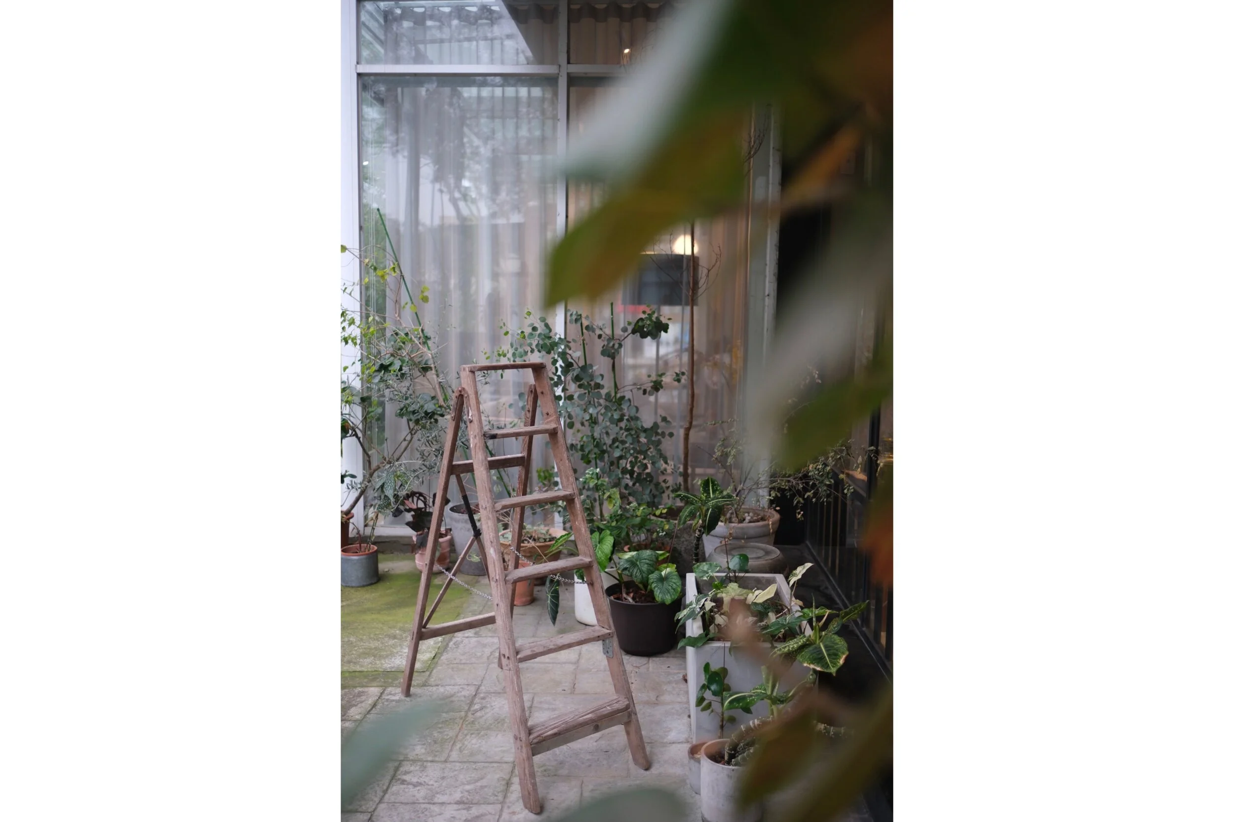 19A4AE5B-E30F-43E4-9F6D-E2EAE98E3315