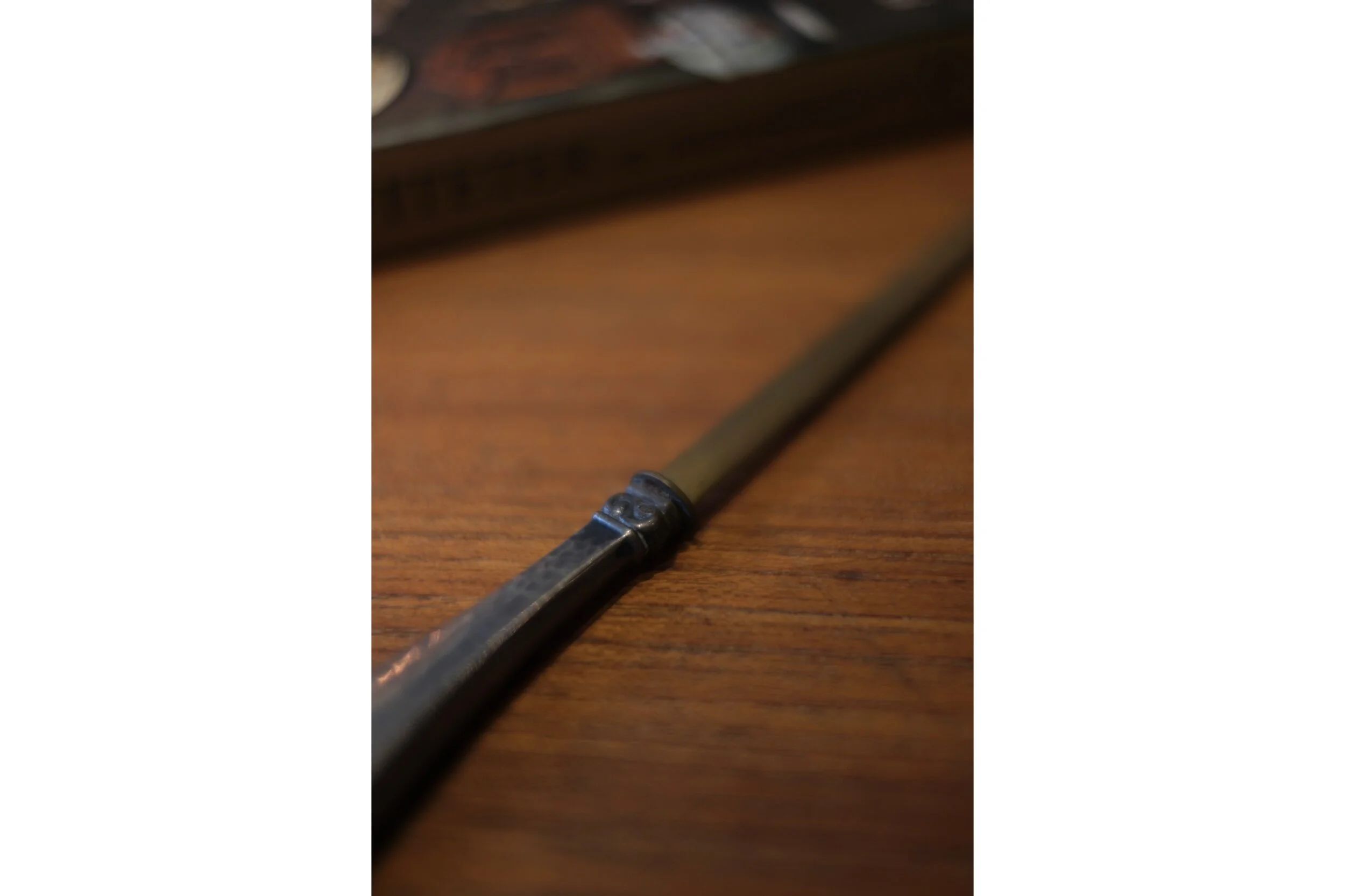 678EC8D5-2C66-48FE-99F4-B4F683521A5F