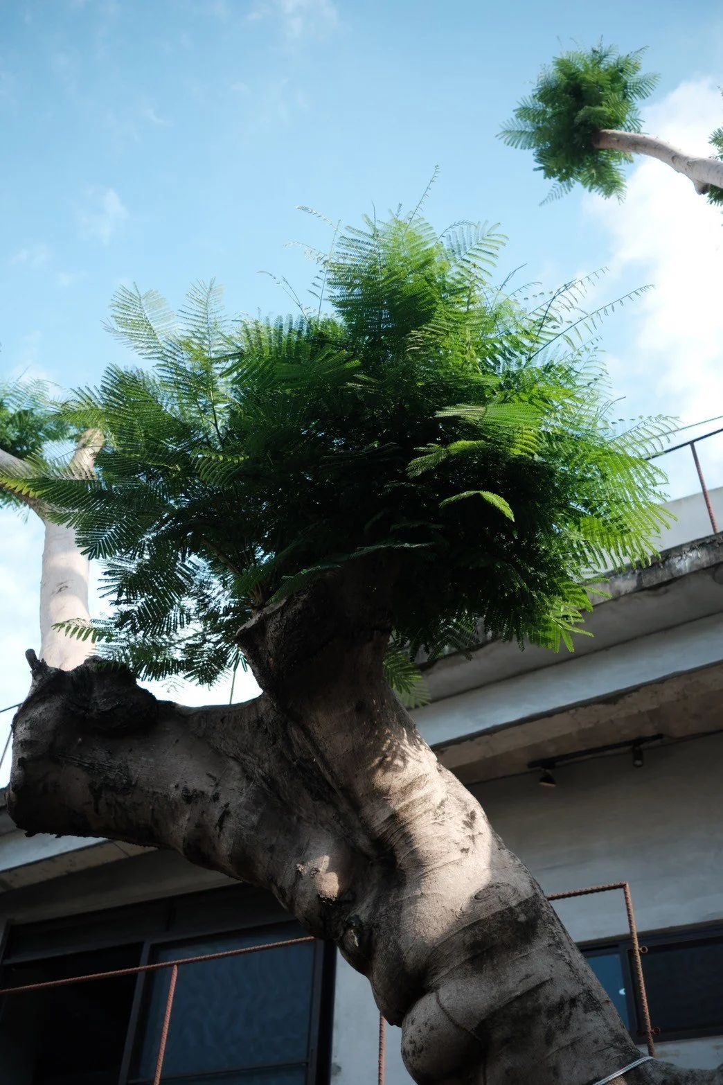 LINE_ALBUM_楊梅_240922_8.jpg