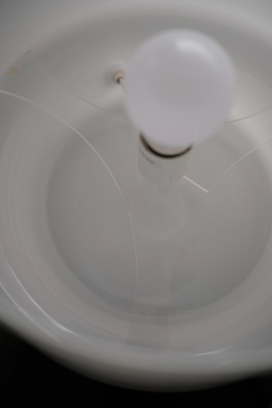 A3FEB2D0-60FF-4006-81F0-FDC519375CCE.jpeg