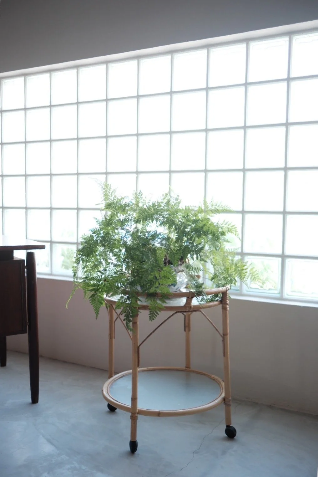13167E1C-AAFE-4D05-8D29-06D78208CF2A.jpeg