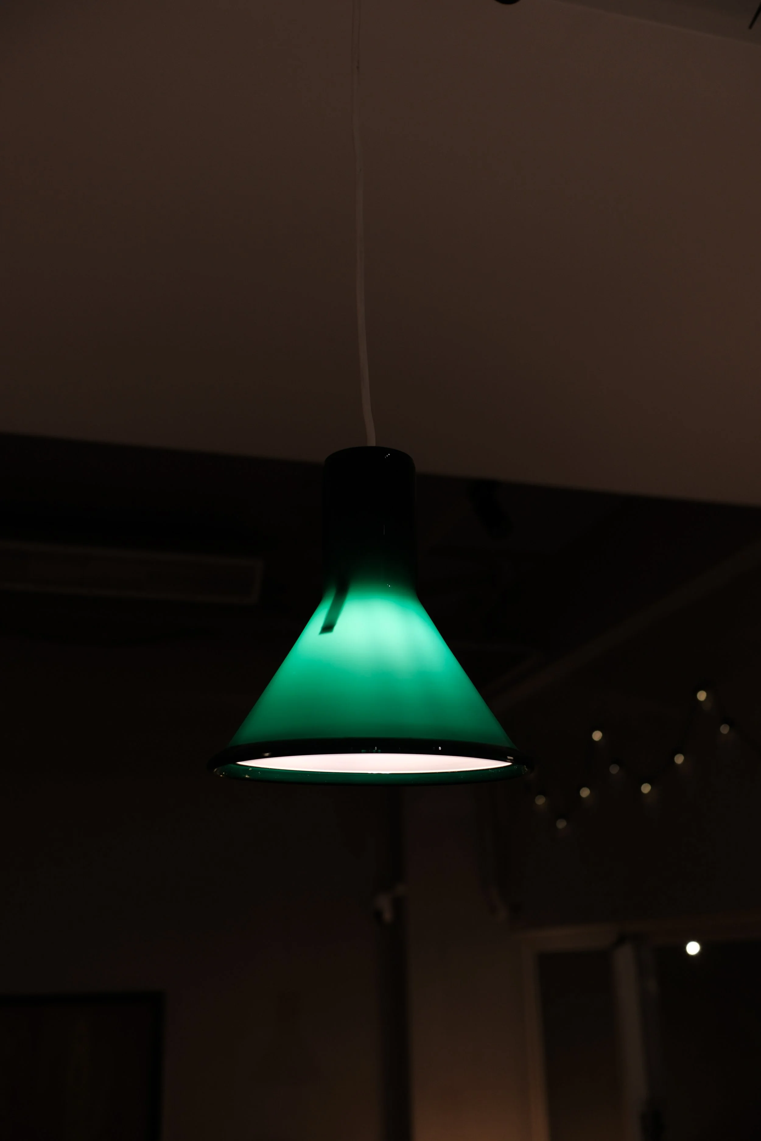 IMG_2838.jpeg