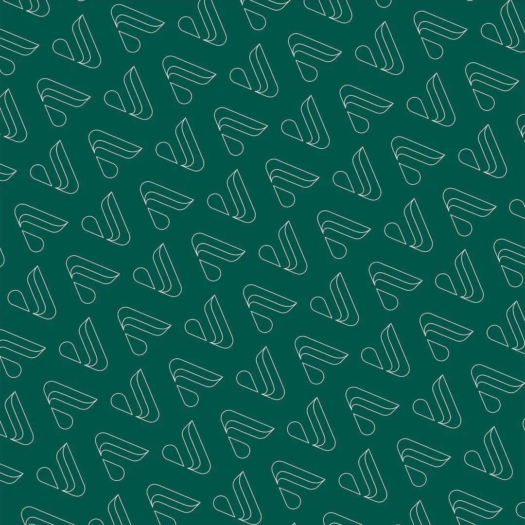 124186156_2774884929463018_4857782182970788429_n.jpg