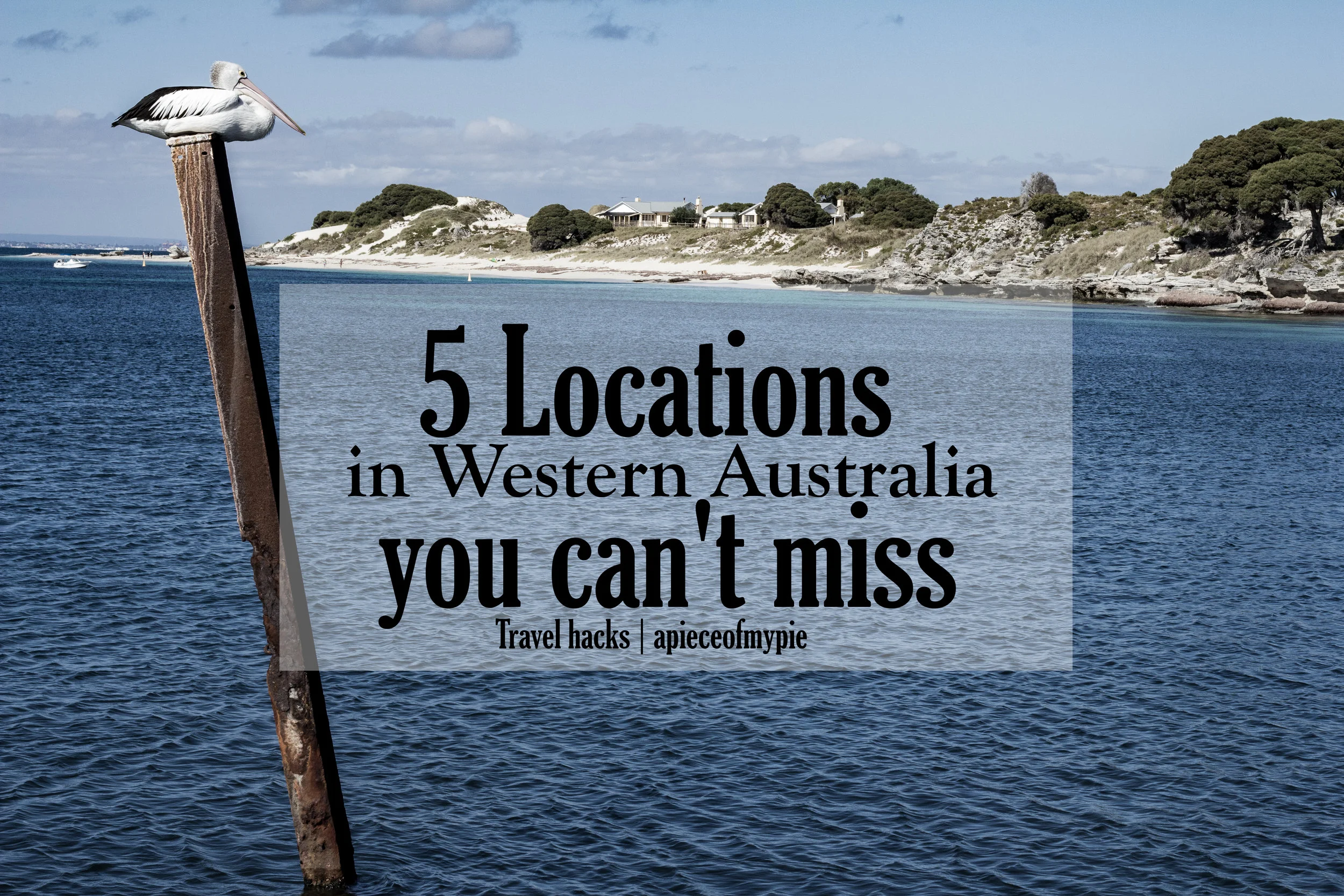 RottnestIslandpinterest.jpg