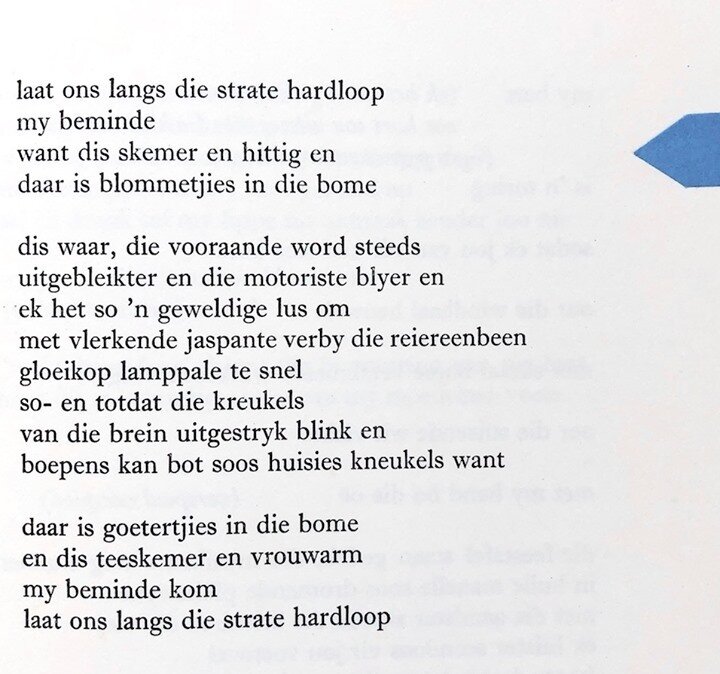 'liggaamsoefeninge' ⁠
by Breyten Breytenbach. ⁠
The poet references summer blooms ⁠
and jubilant long, hot summer evenings.⁠