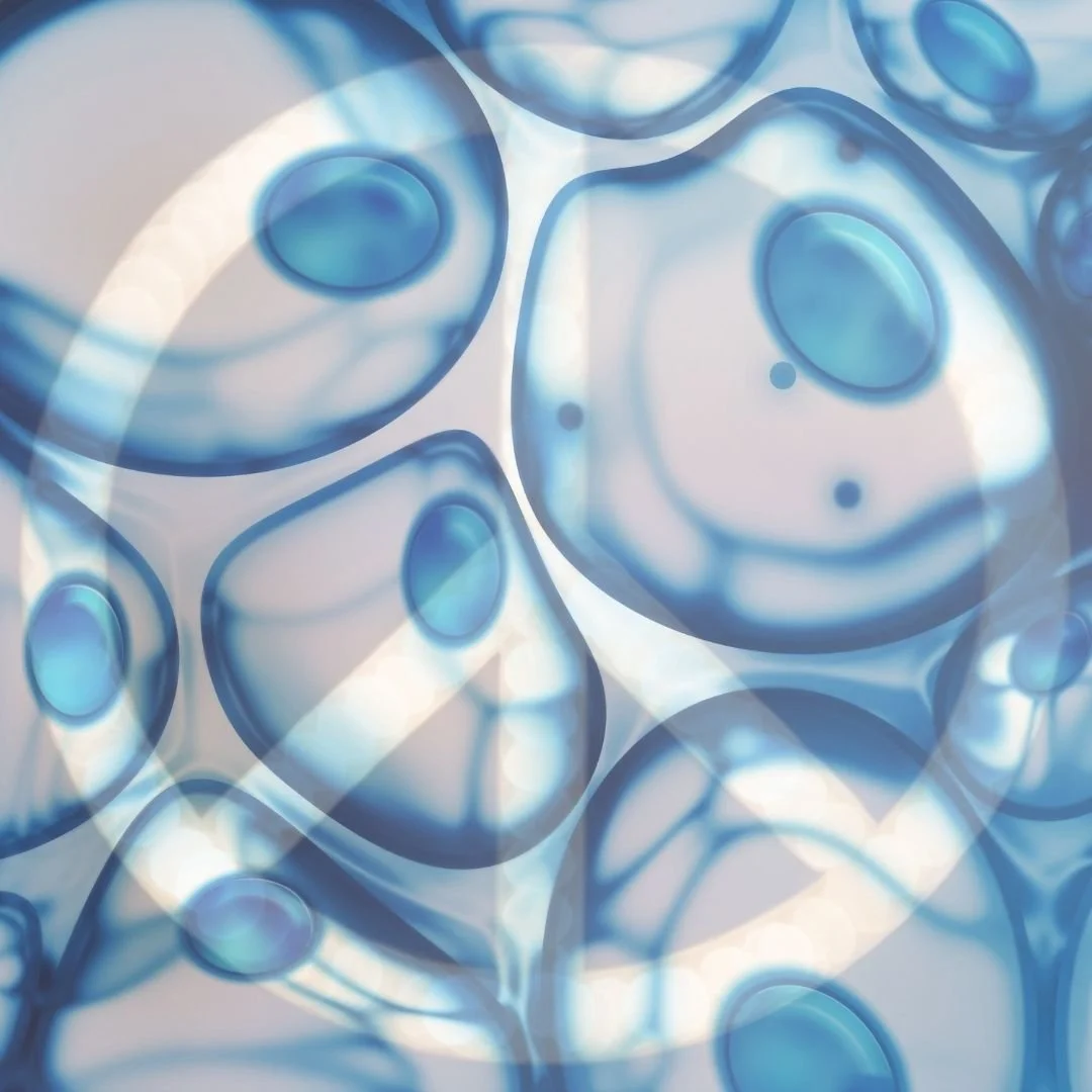 January 2026 Newsletter -   What is the Secret to Healing?