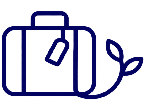 Travel suitcase with a luggage tag and a small plant.