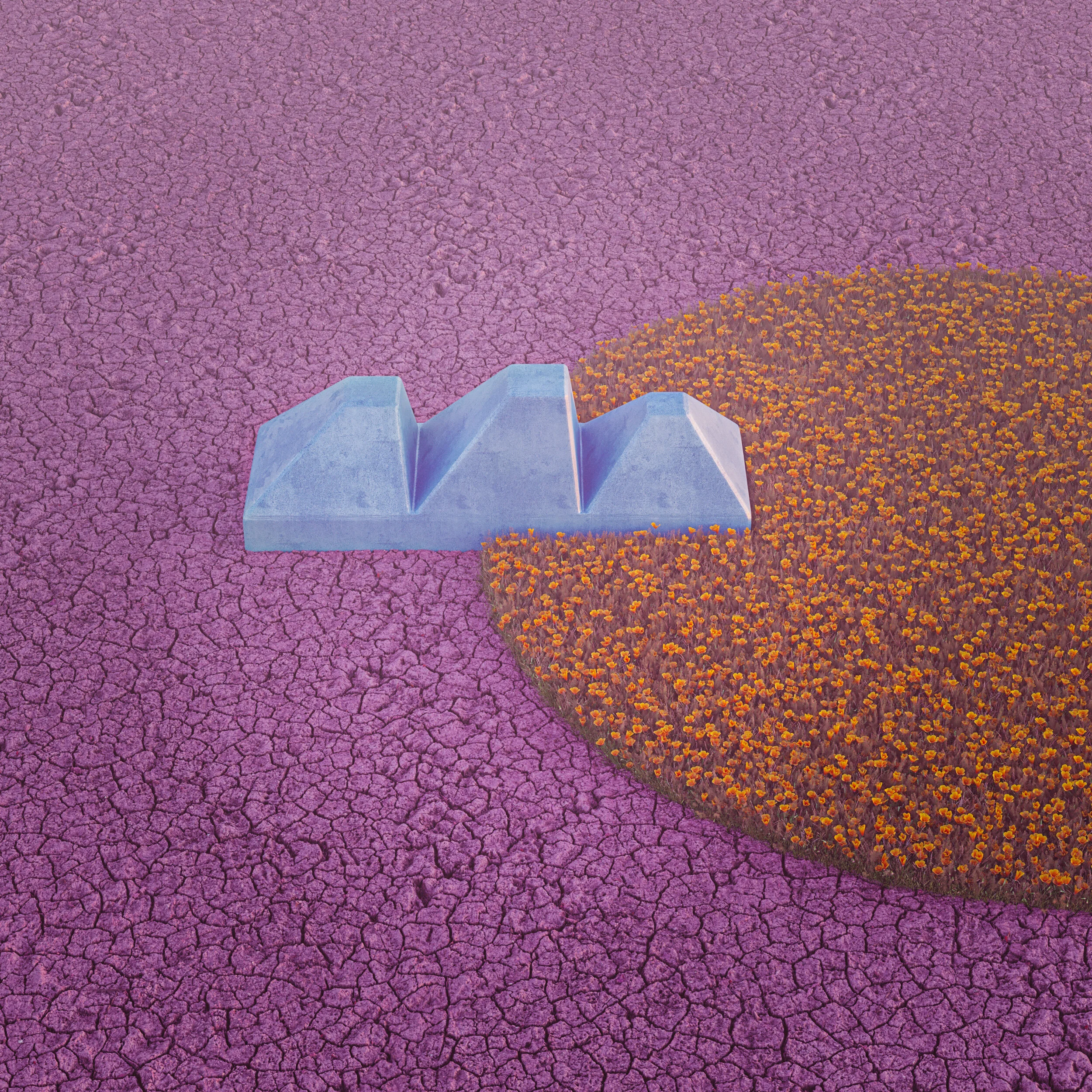 v02_.jpg