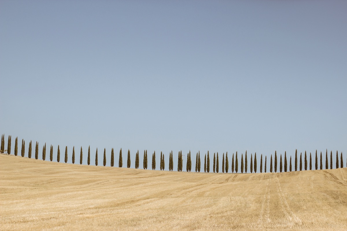 felixkrisai_cypress - 5.jpg