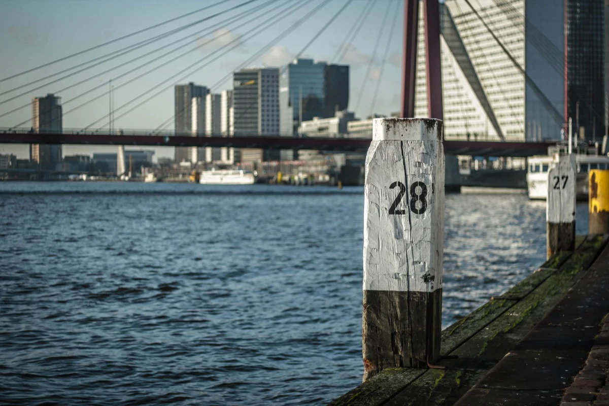 felixkrisai_rotterdam - 5.jpg