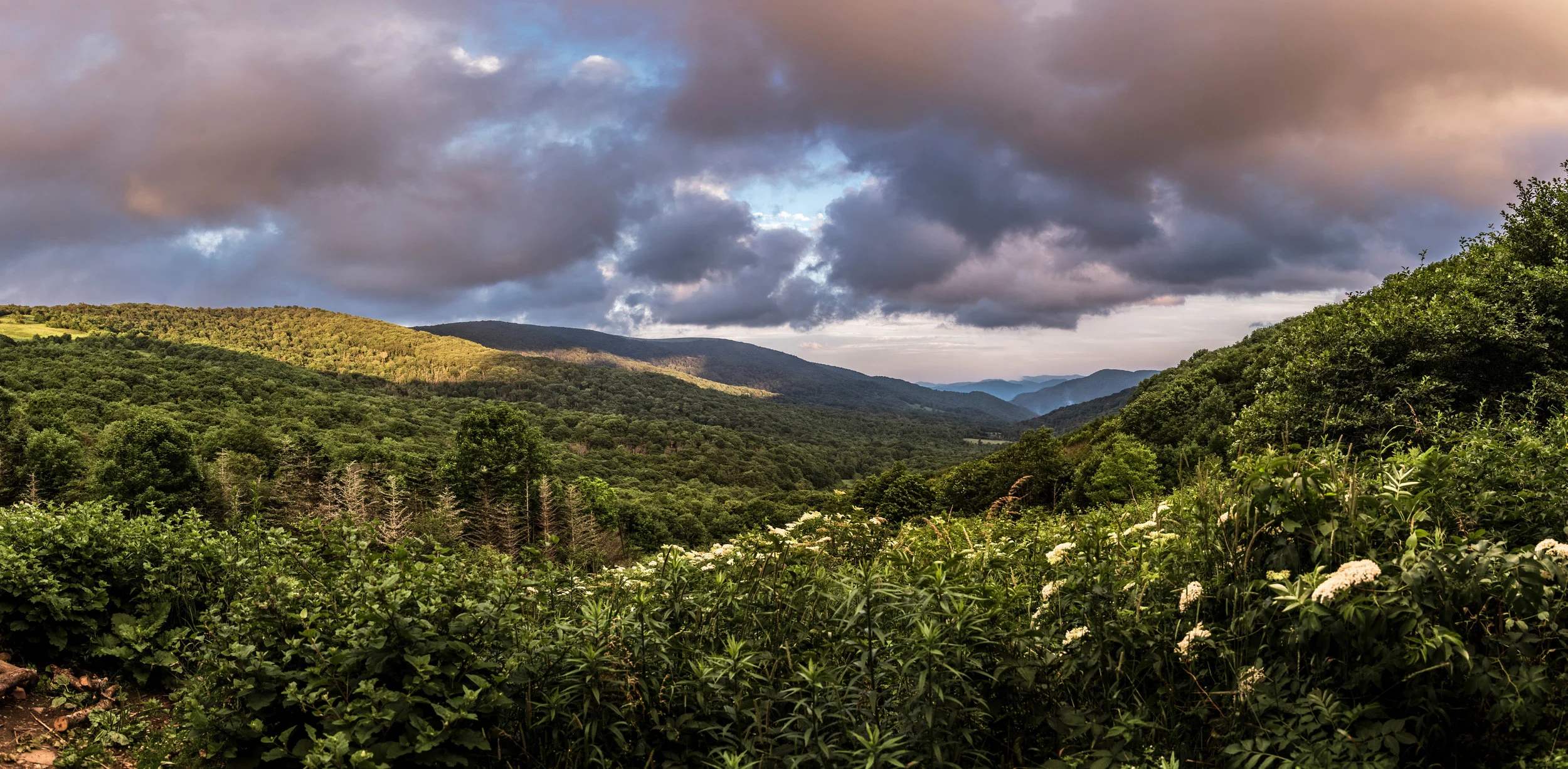 Carver Gap, Appalachian Trail