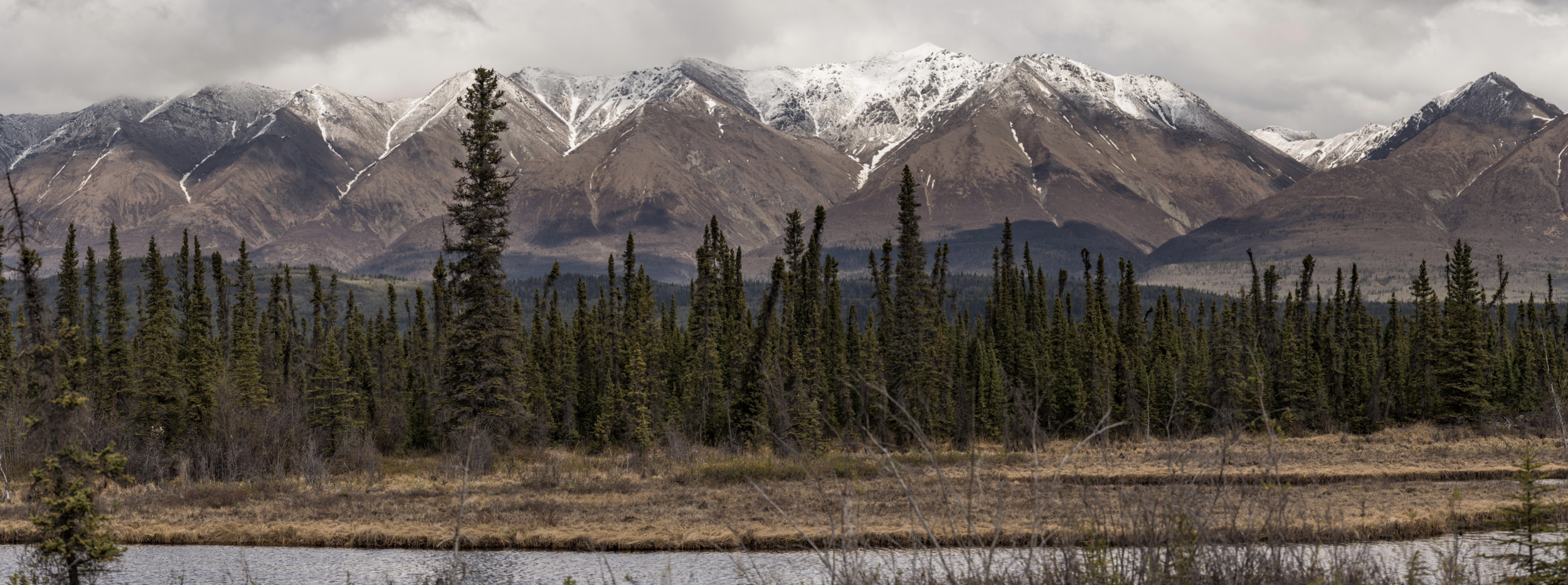 Alaskan Roadside
