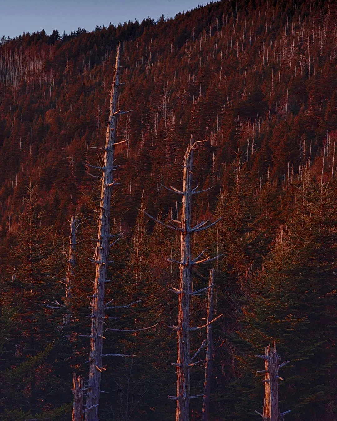 Sunsets in the Smokys