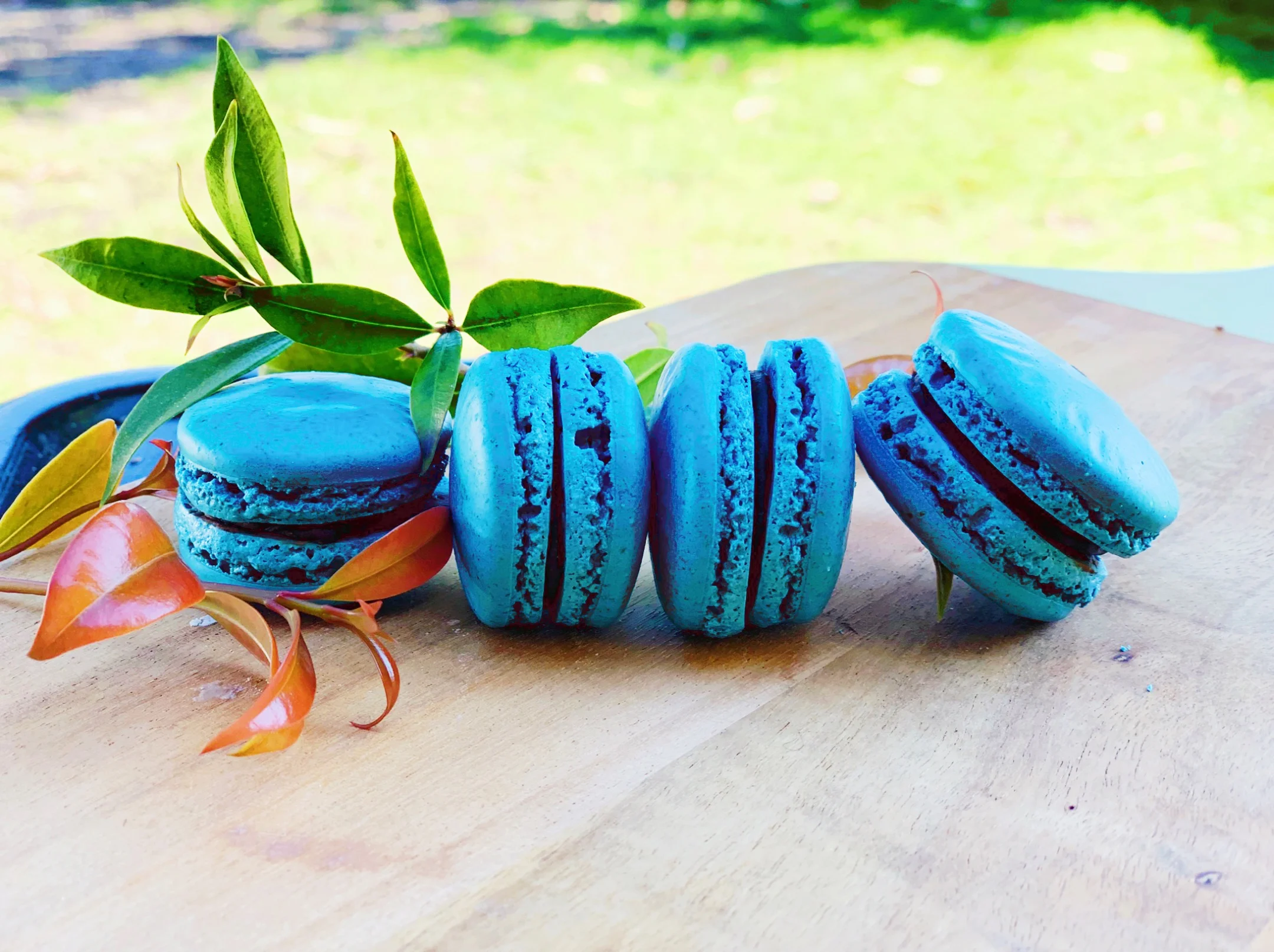 Blue  Macarons