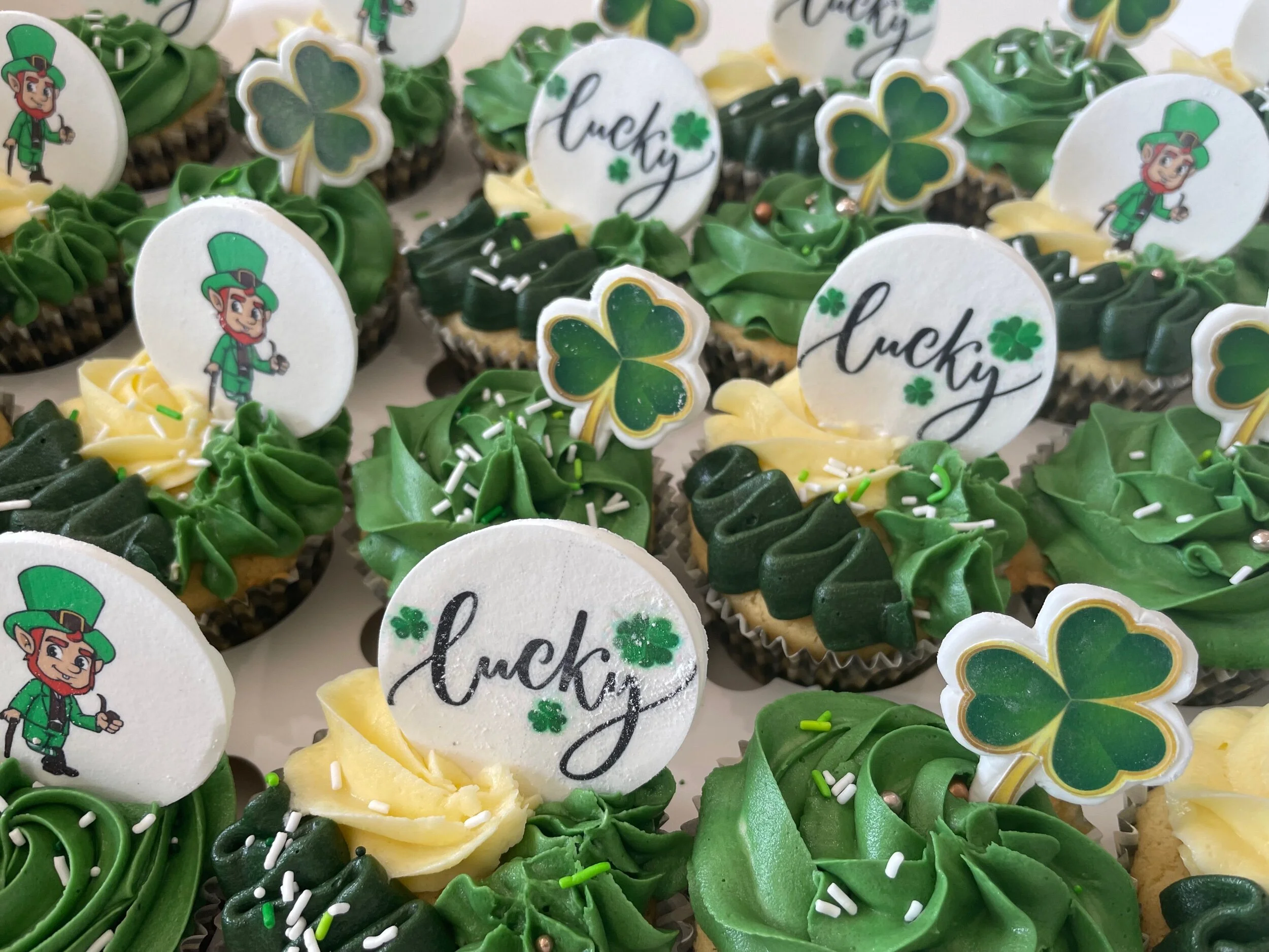 5C8953E3-EA24-4D62-9051-EA68960F741F