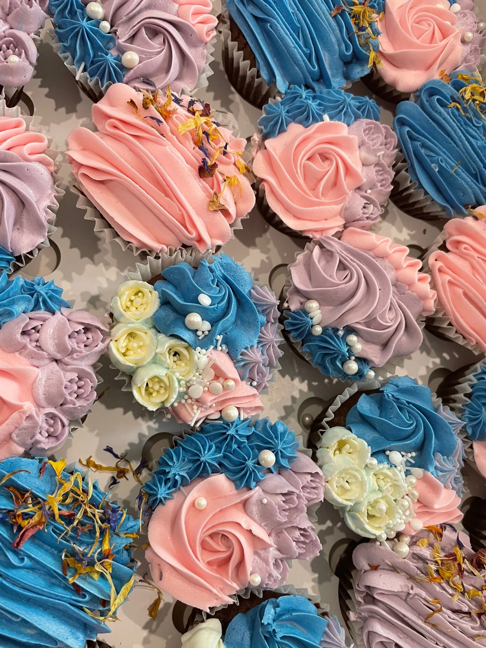 E0D46C55-22CB-46F5-9C3B-82E7E94A32B0