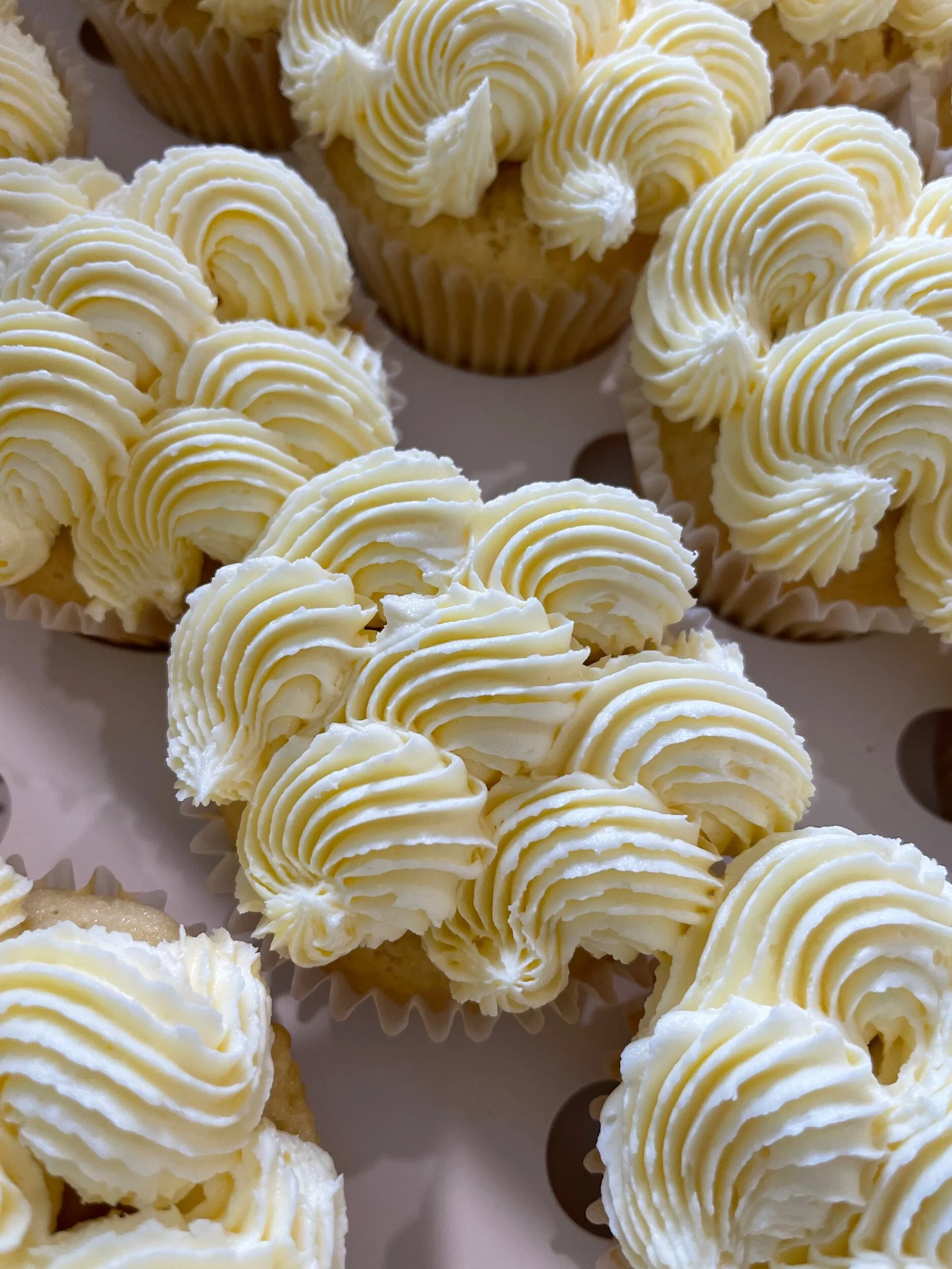 58F72230-FF5E-44AA-BBE4-CF36E02346DB