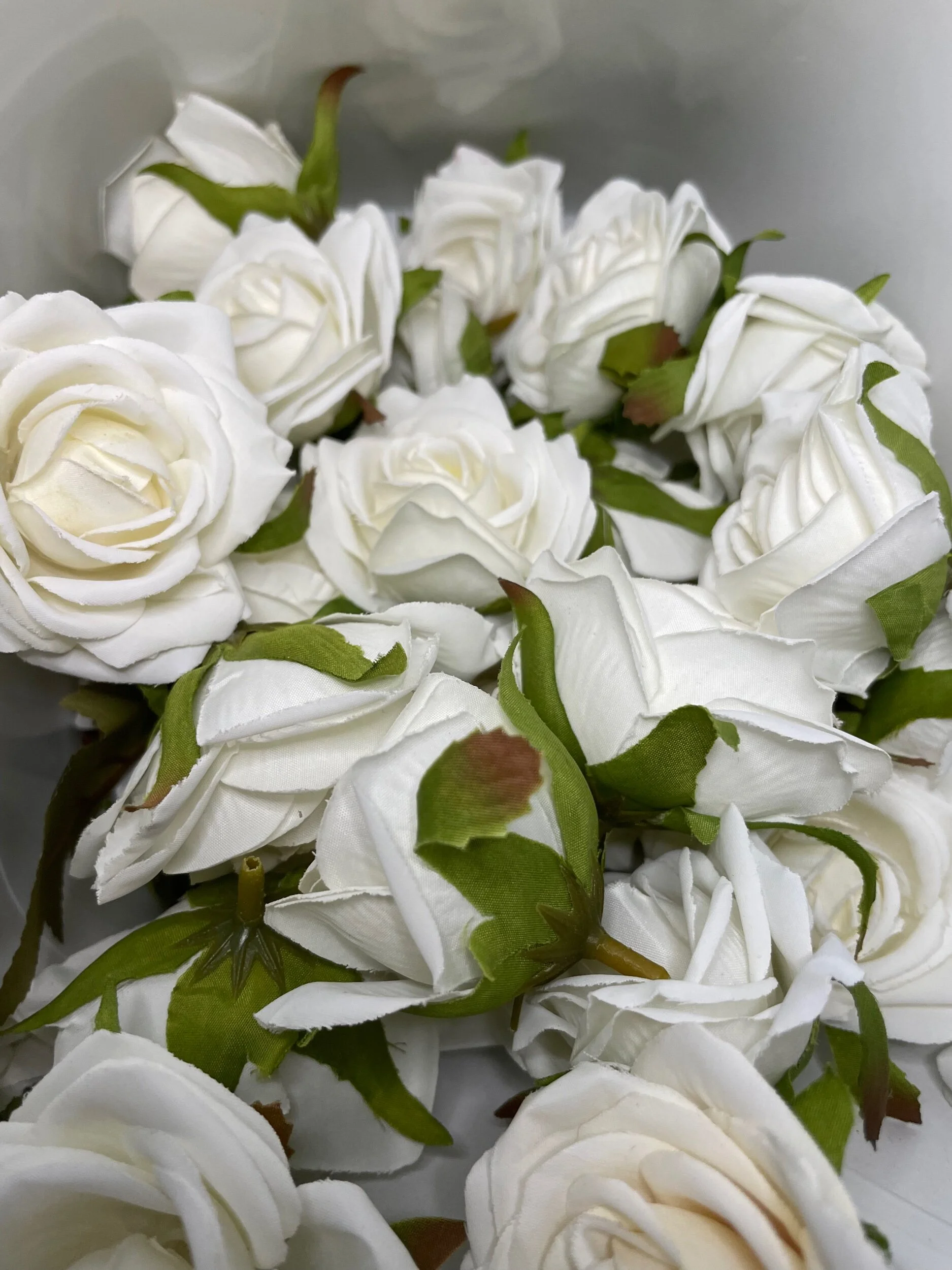 53D3B76C-AB74-47D0-925E-C69D524C83B4