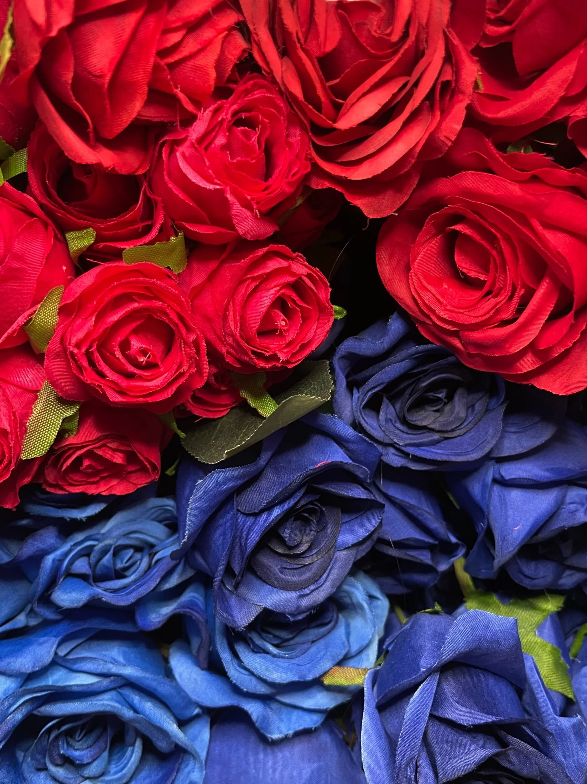 49AB13E1-BE63-4944-9F82-B54EA020CEA7