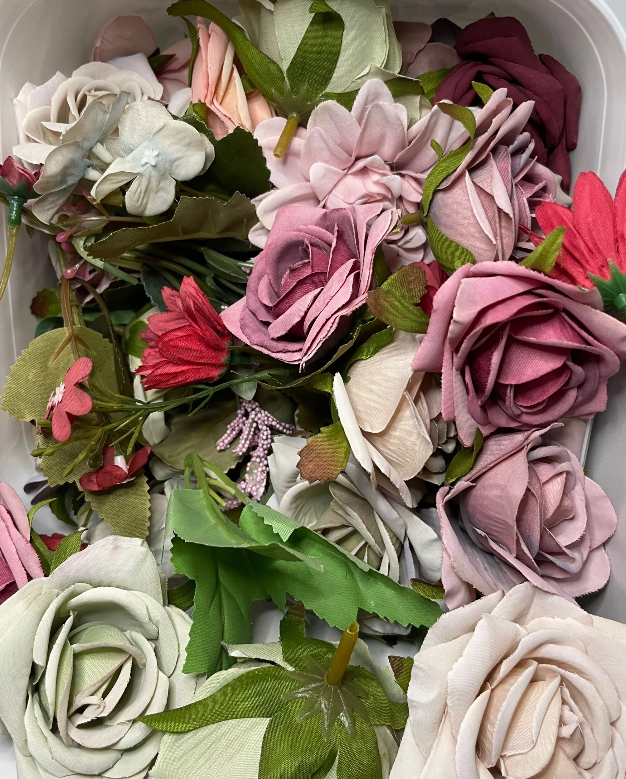 045CC36B-5A24-49DE-BF9E-14C018D5E8FF