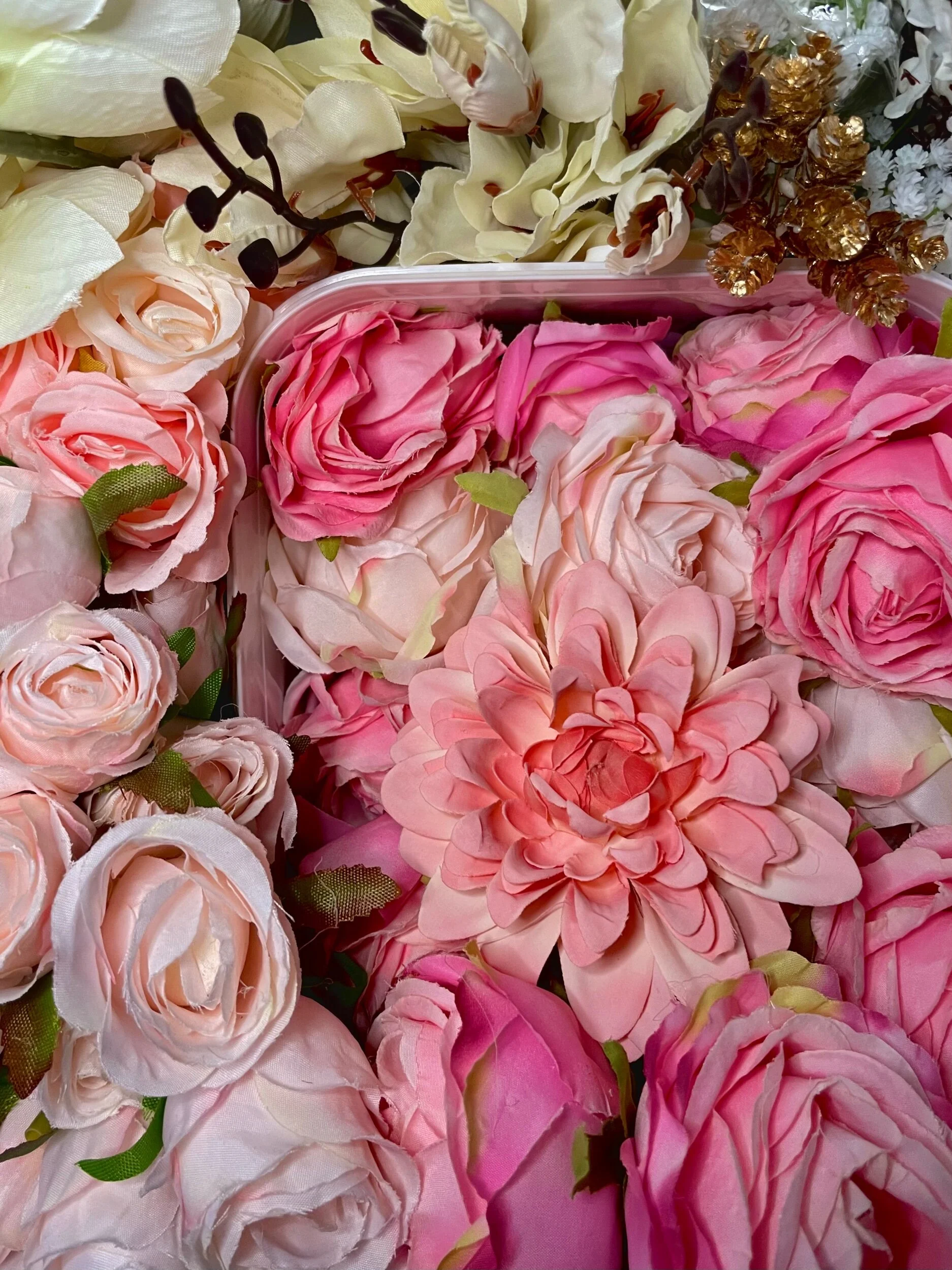 BD147EFB-B94F-47B6-B8ED-341AA3BC098A