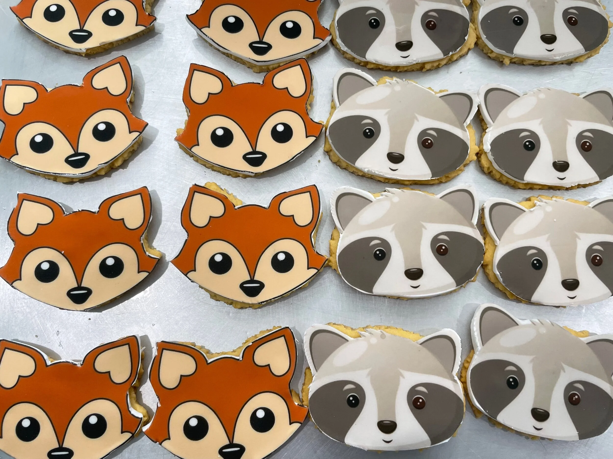 4F050E3E-D652-4E3B-8247-60F169D72B53