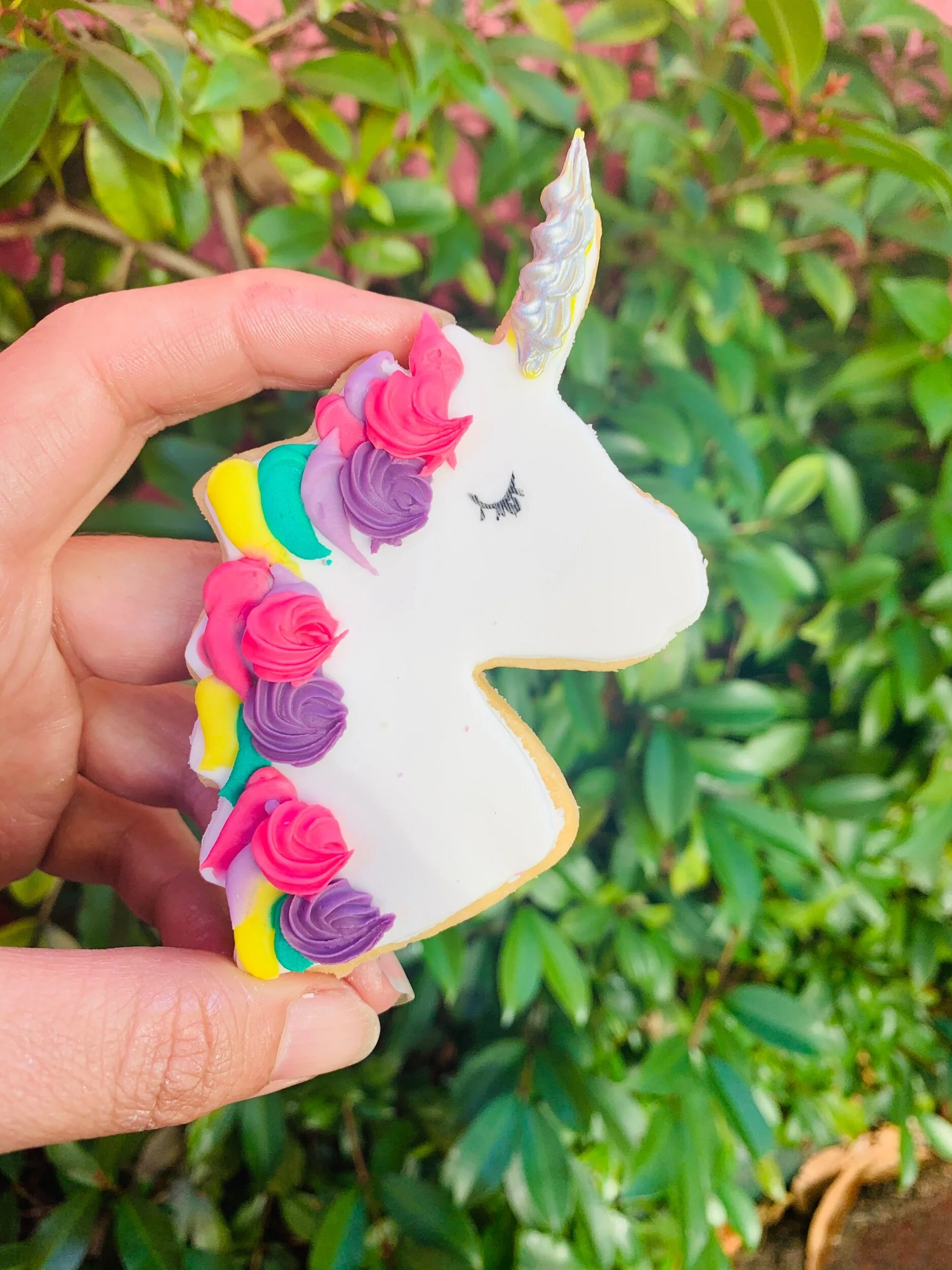 9735025C-8F85-45AF-B542-3956C3964430