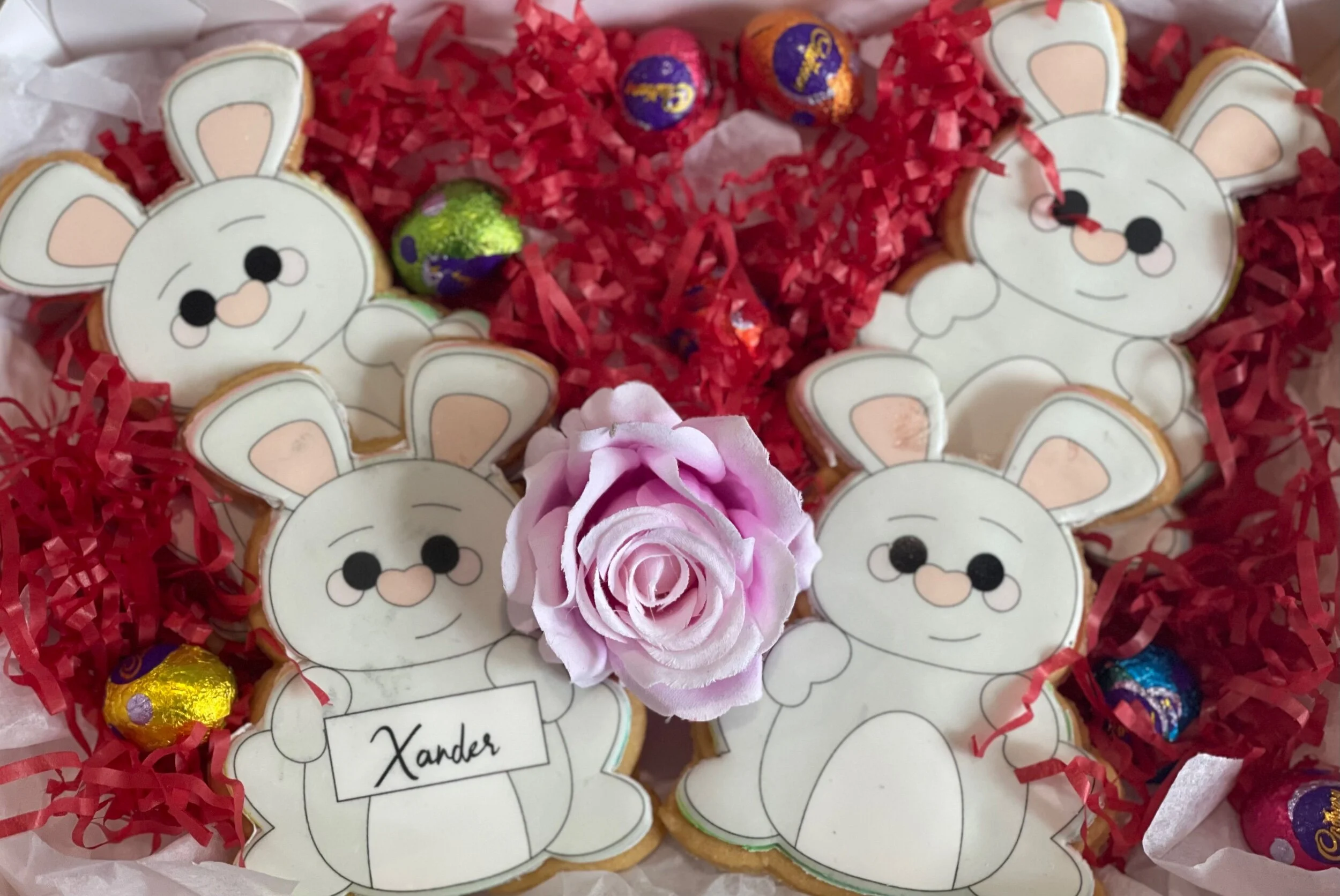 C0B12E6E-72F4-487F-B2B6-F105103B7CEF