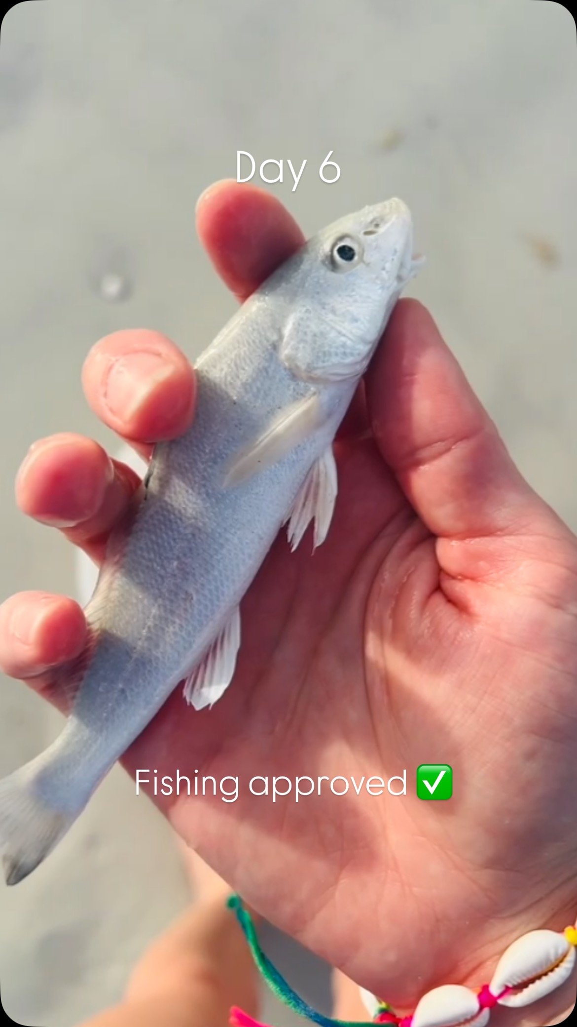 Day 6 of showing what you can do while wearing @alyssakatedesigns studs until I reach more viewers 🎣
🐟 Did you know my first jewelry business was bracelets I made from trout lures?
#Fishing #WomenWhoFish #OutdoorWoman #OutdoorApparel #Women&rsq