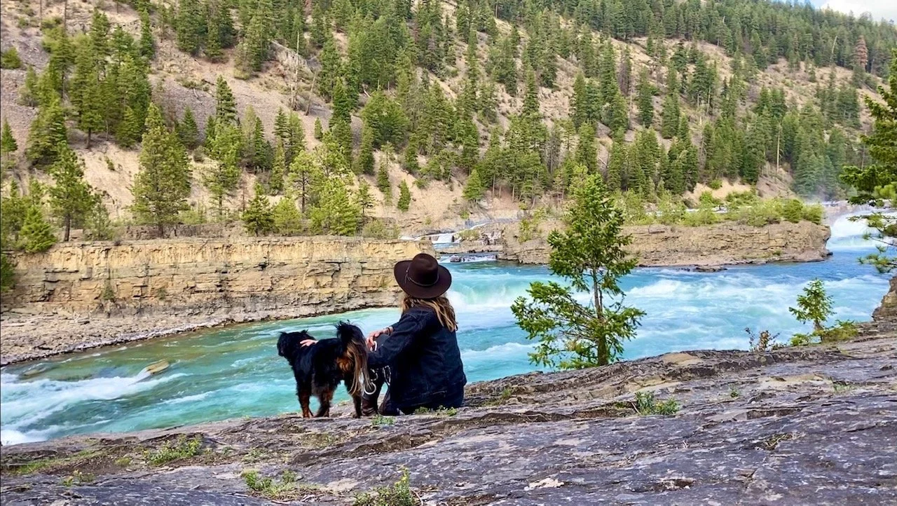 Animals teach us so much!