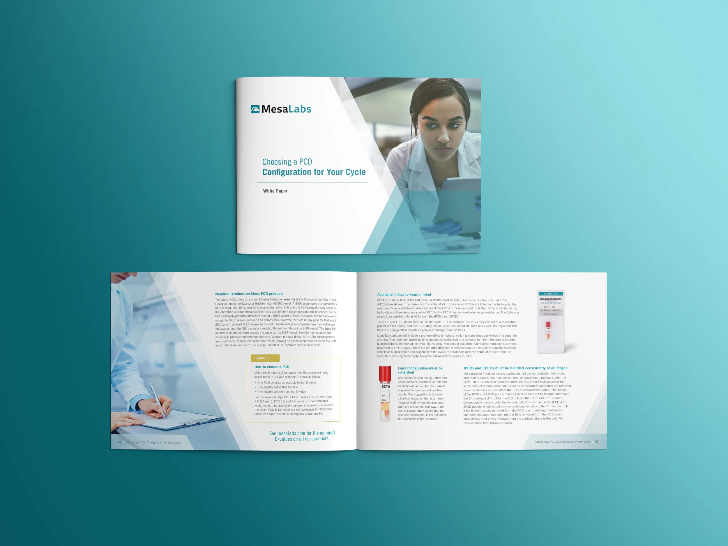 White Paper