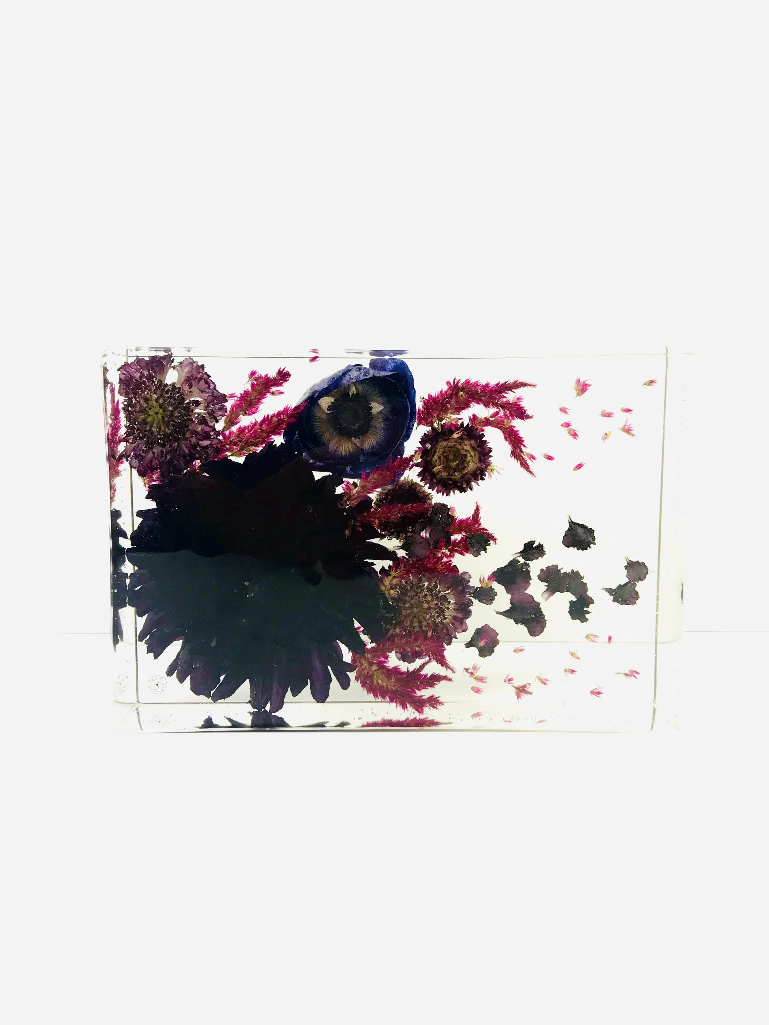 E8F6CCC5-D305-4E5B-9A88-4AE5E633BE48