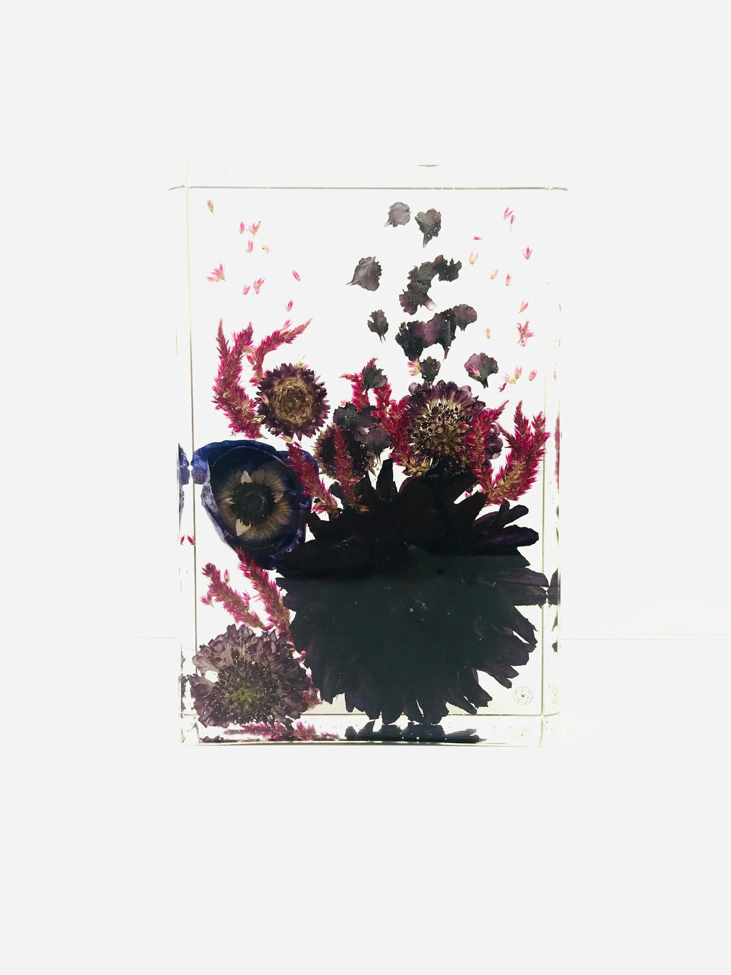 82E4F84F-A9EB-4230-8A97-2BAF22CACD75