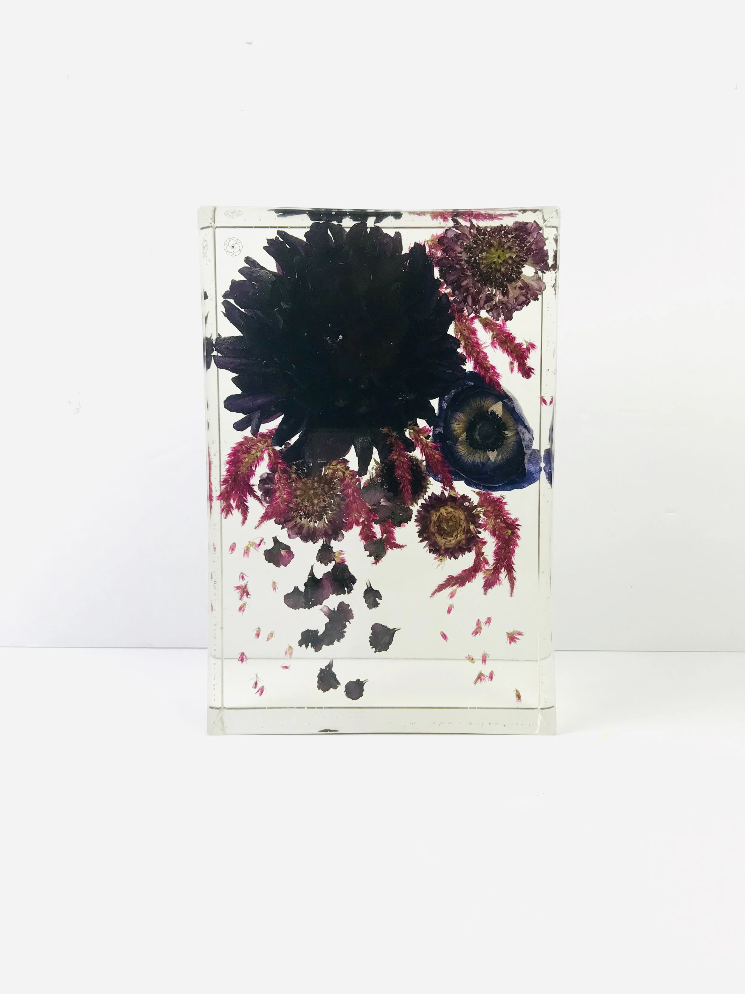 3DA292EB-7B8B-4C46-AEF9-98AA92B17D3B