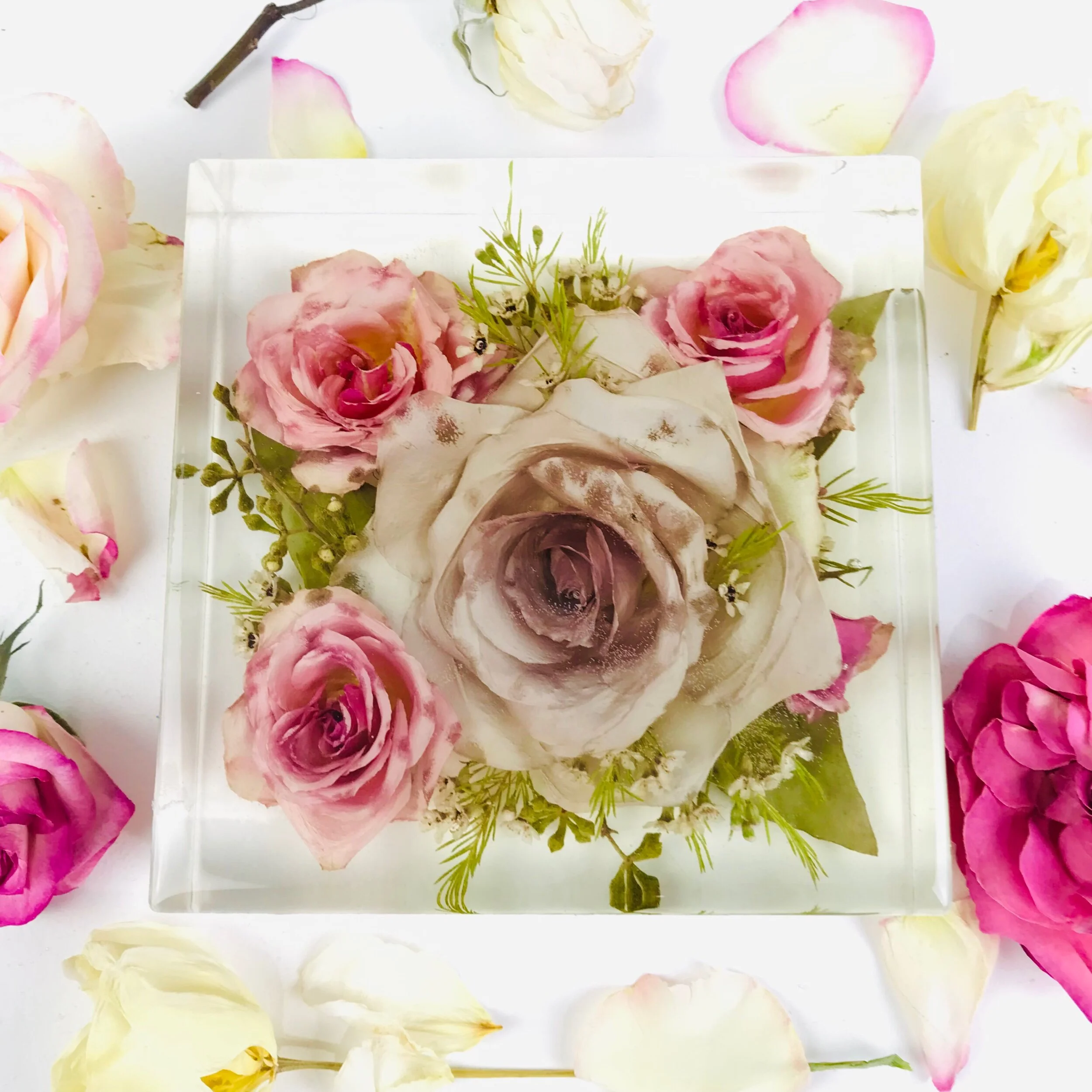 38C92E9B-F648-467D-9550-109BFD6E1920