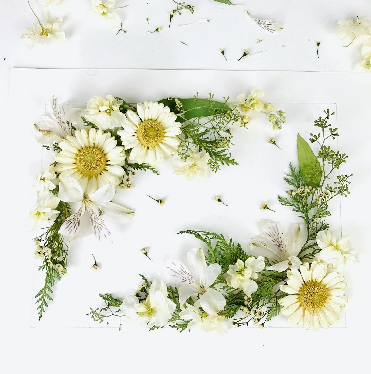 Pick your favorite! 🌸🌺🌻

🌸 Corners - This romantic and boho layout features flowers clustered in the corners with the negative space in the middle. This would look good positioned either horizontally or vertically. 

🌺 Garden - This whimsical an