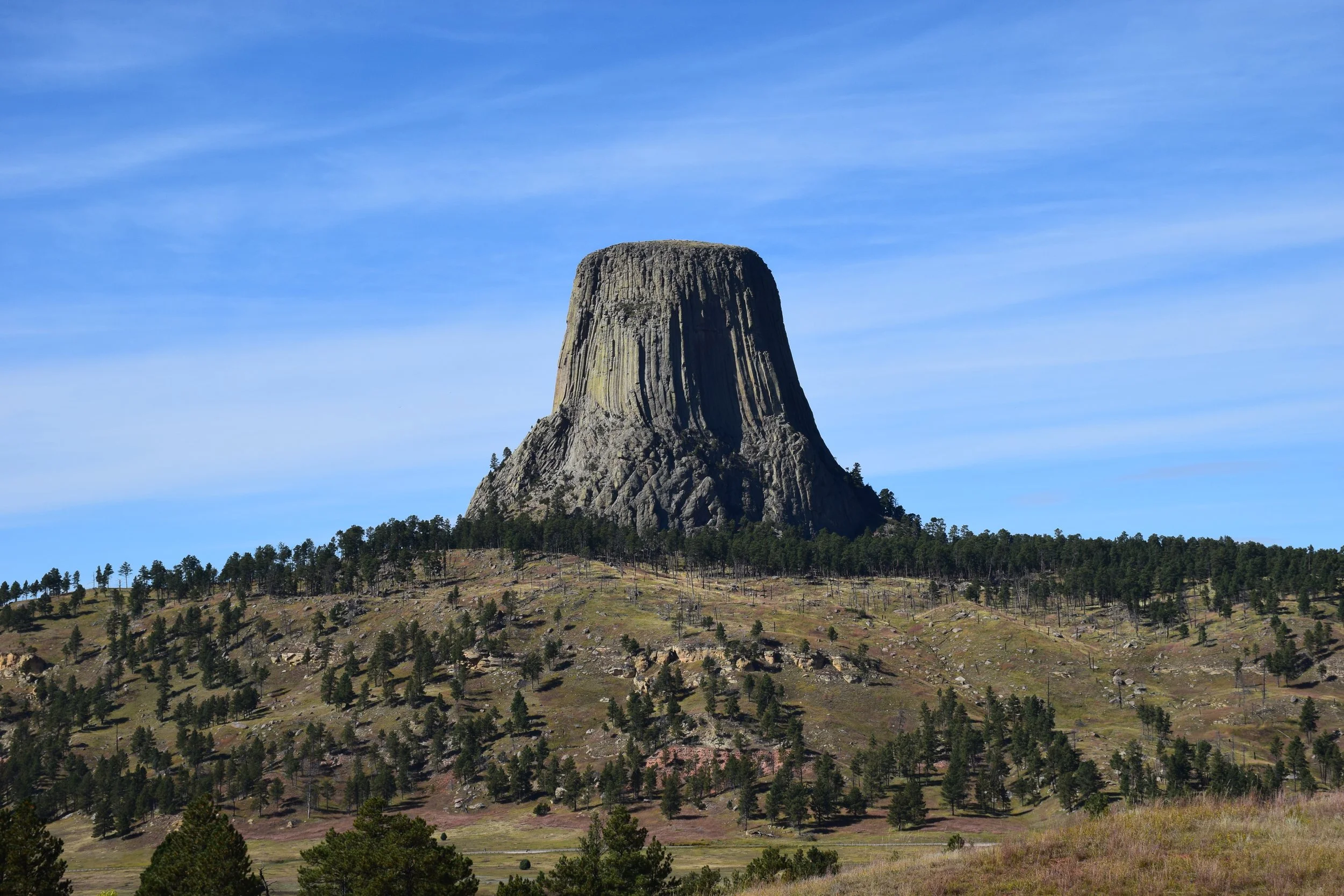 Introduction to Phenomena for TEKS