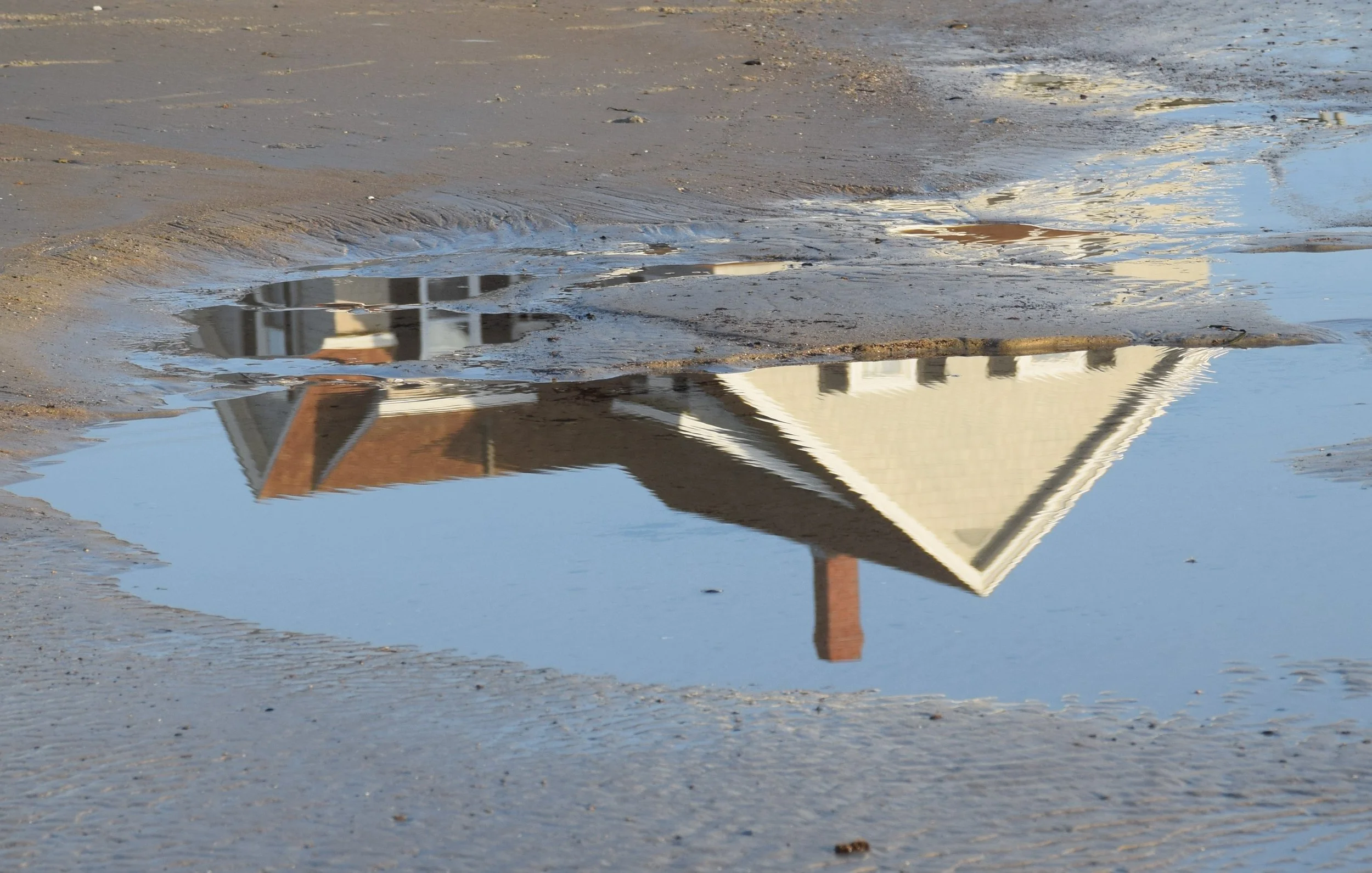 Introduction to Phenomena for TEKS