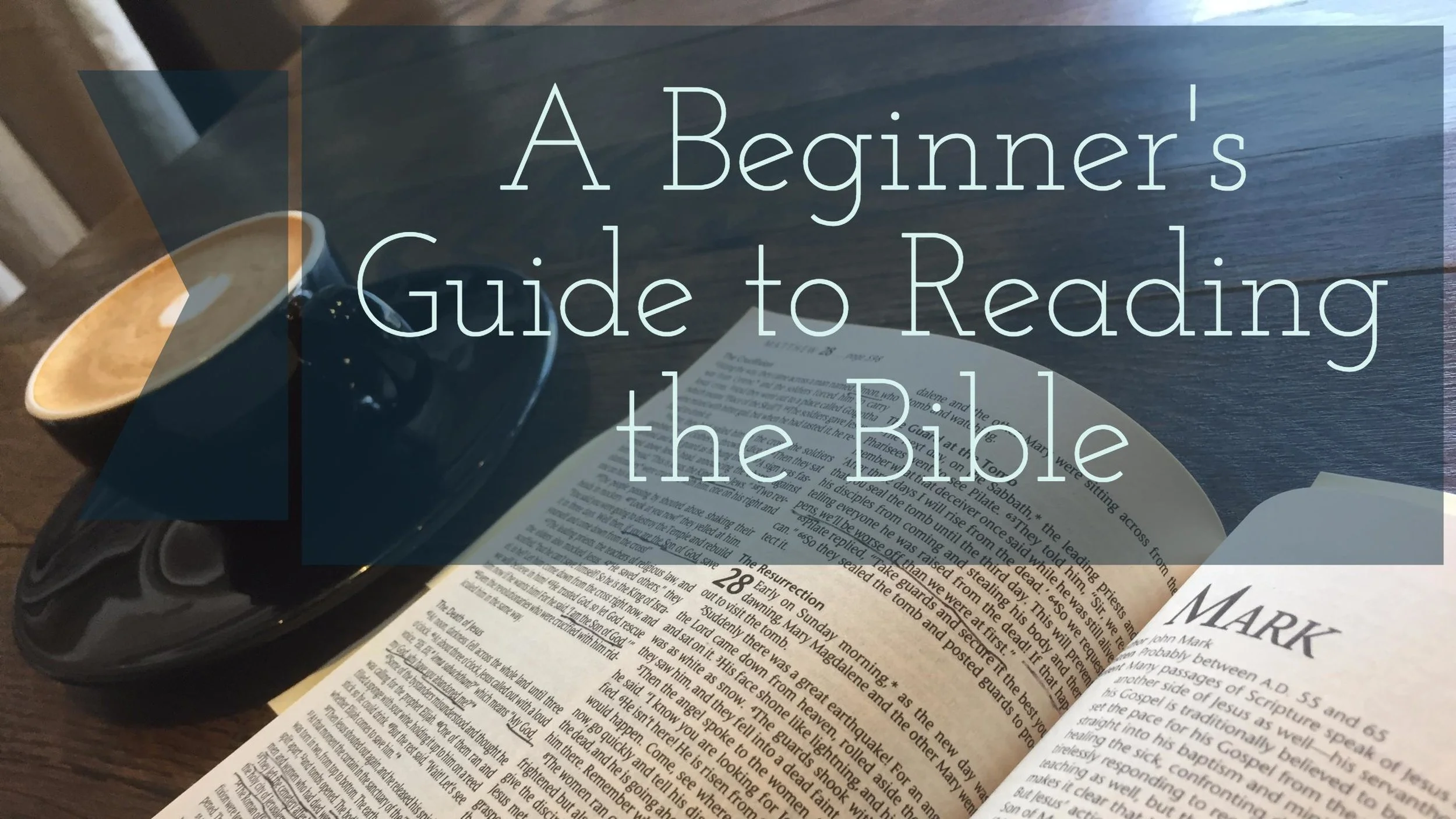 A Beginner’s Guide to Reading the Bible