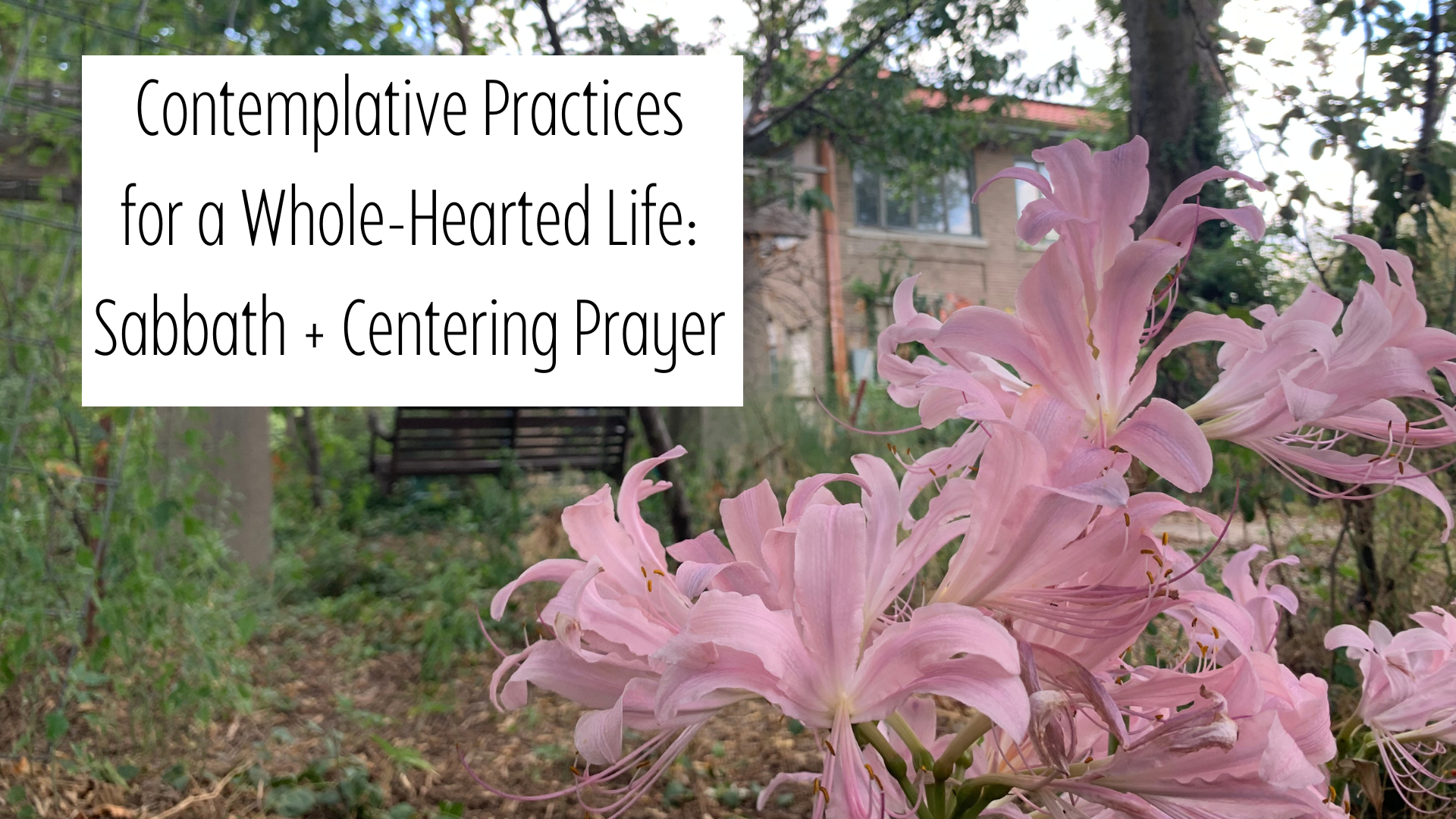 Contemplative practices for a whole-hearted life