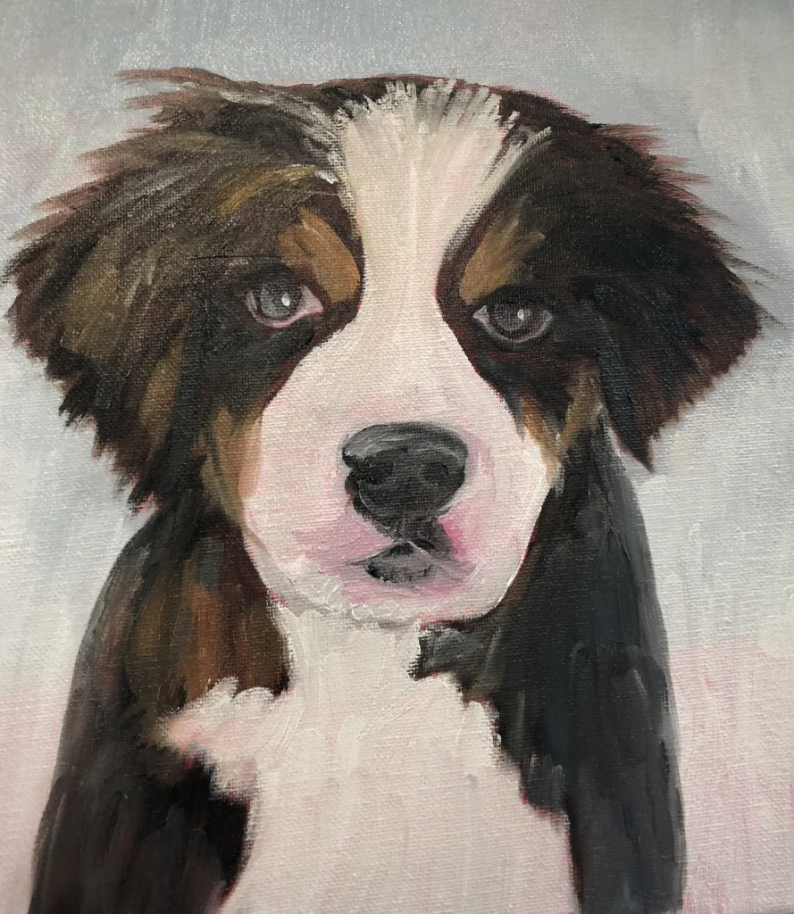 Murphy the Bernese Mt Dog.jpg