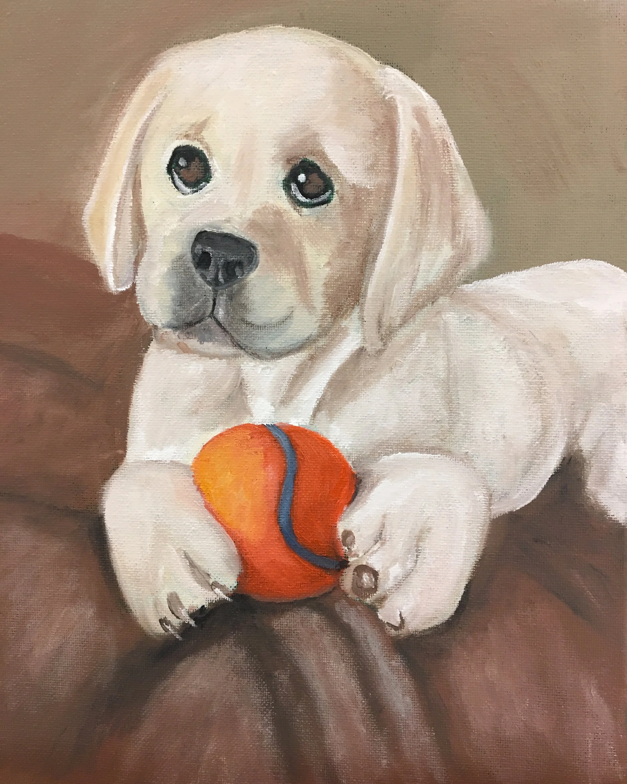 puppywith ball.jpeg