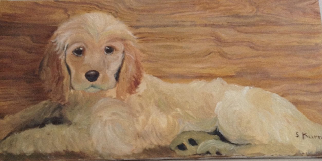 Cocker Spaniel.jpg