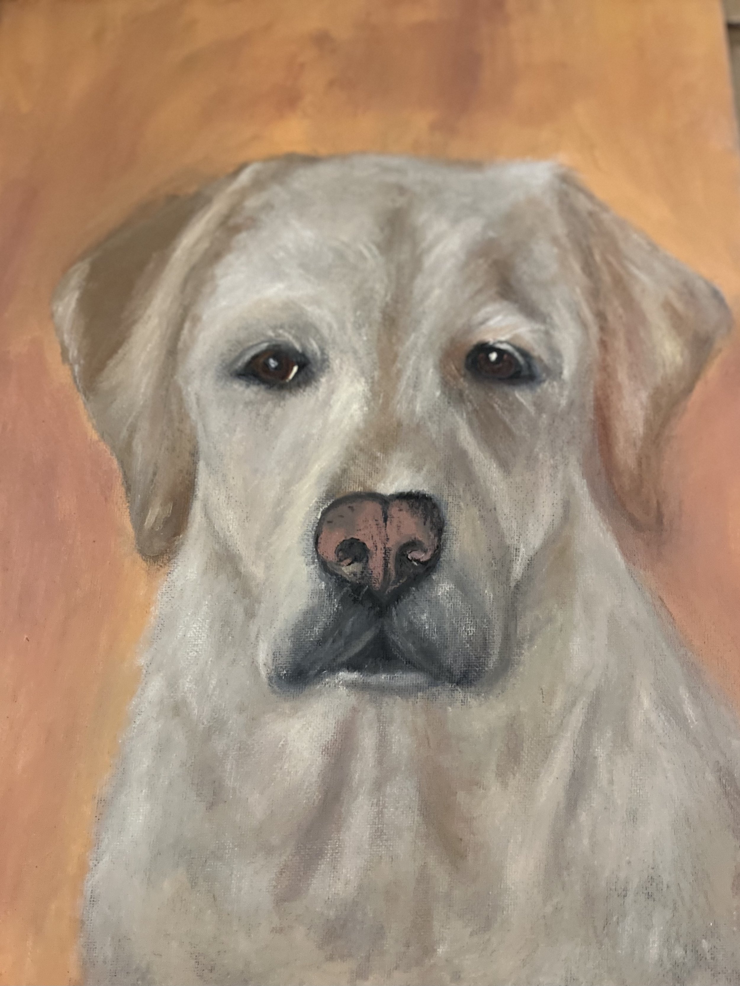 beautifullab.jpeg