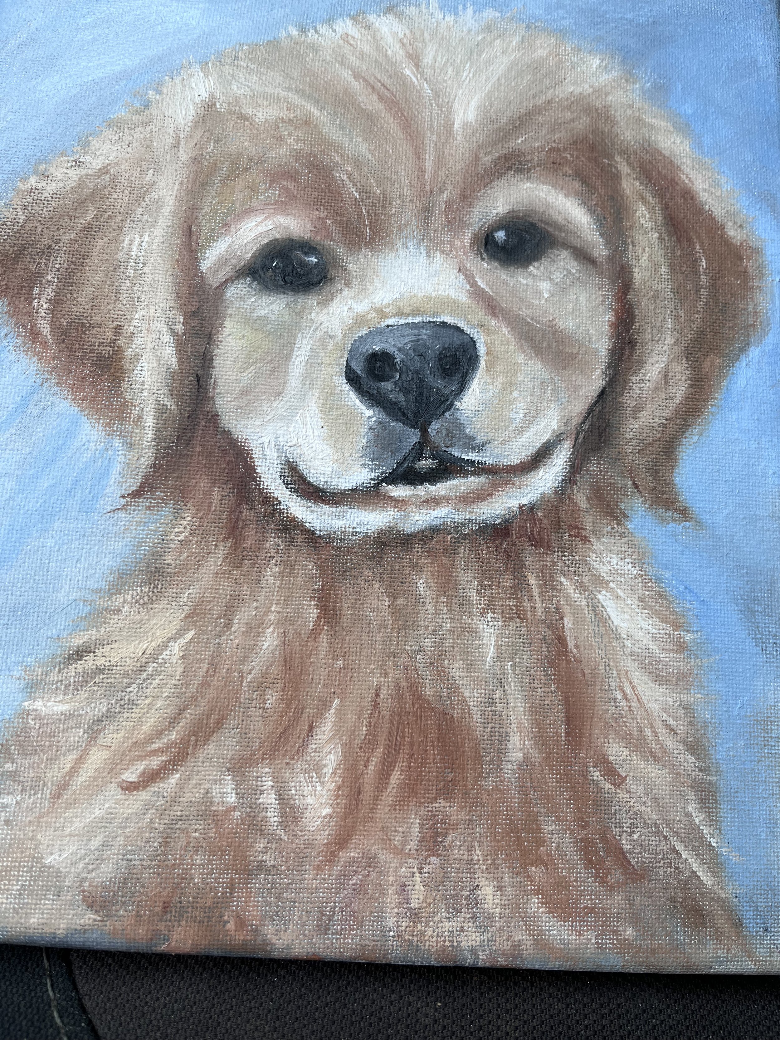 goldenpuppy.jpeg