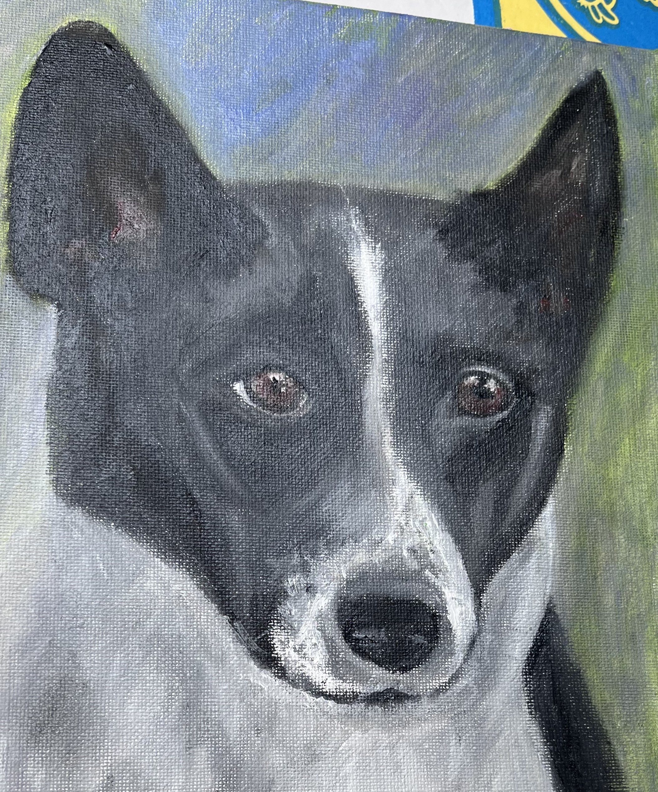 Marty portrait.jpeg
