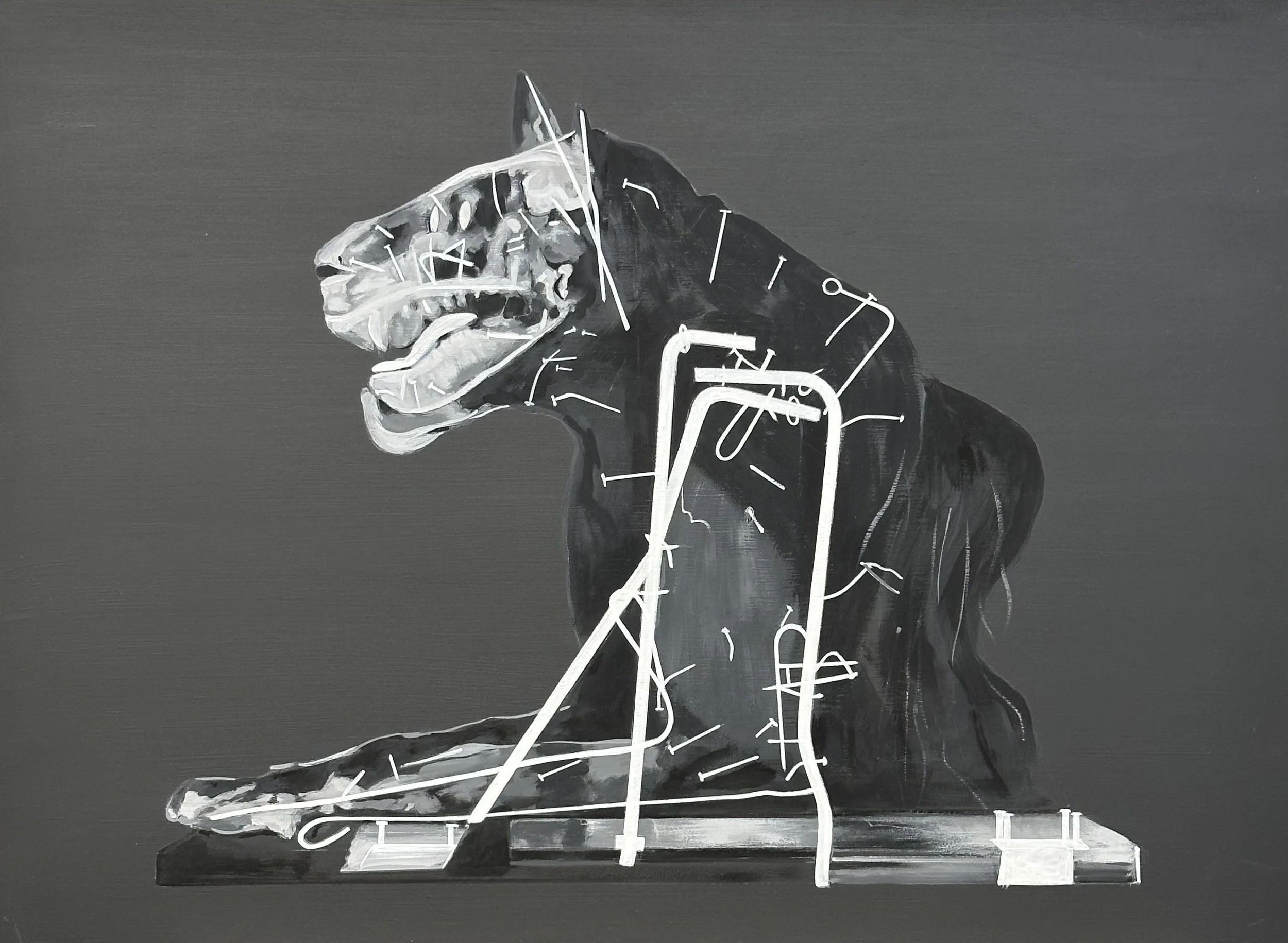X- Ray Cat, 30" x 22", 2025.