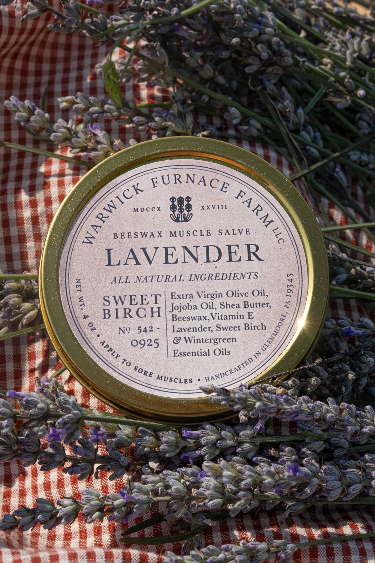 Products_Salve_DSF1248.jpg